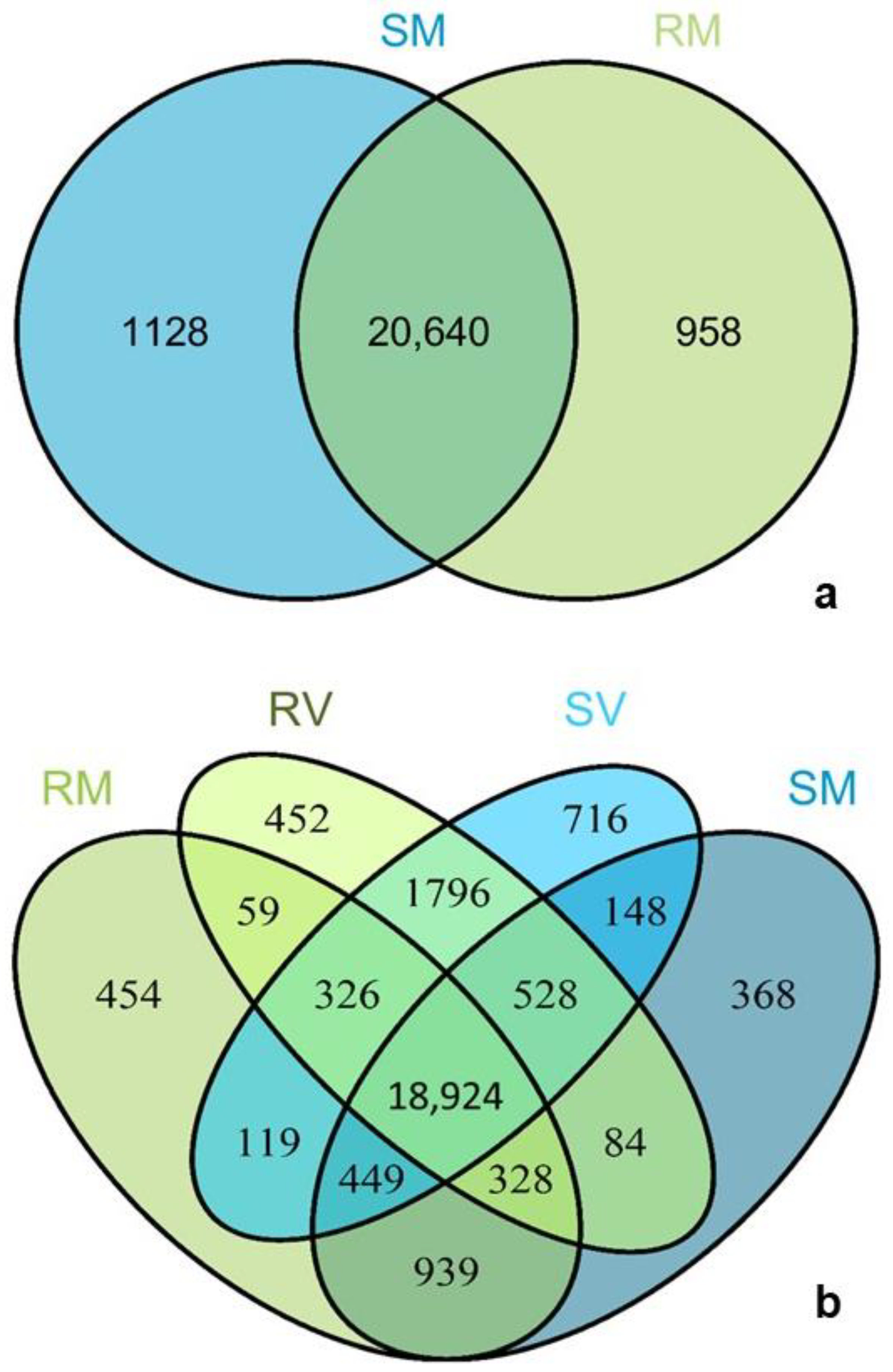 Plants 11 00827 g001
