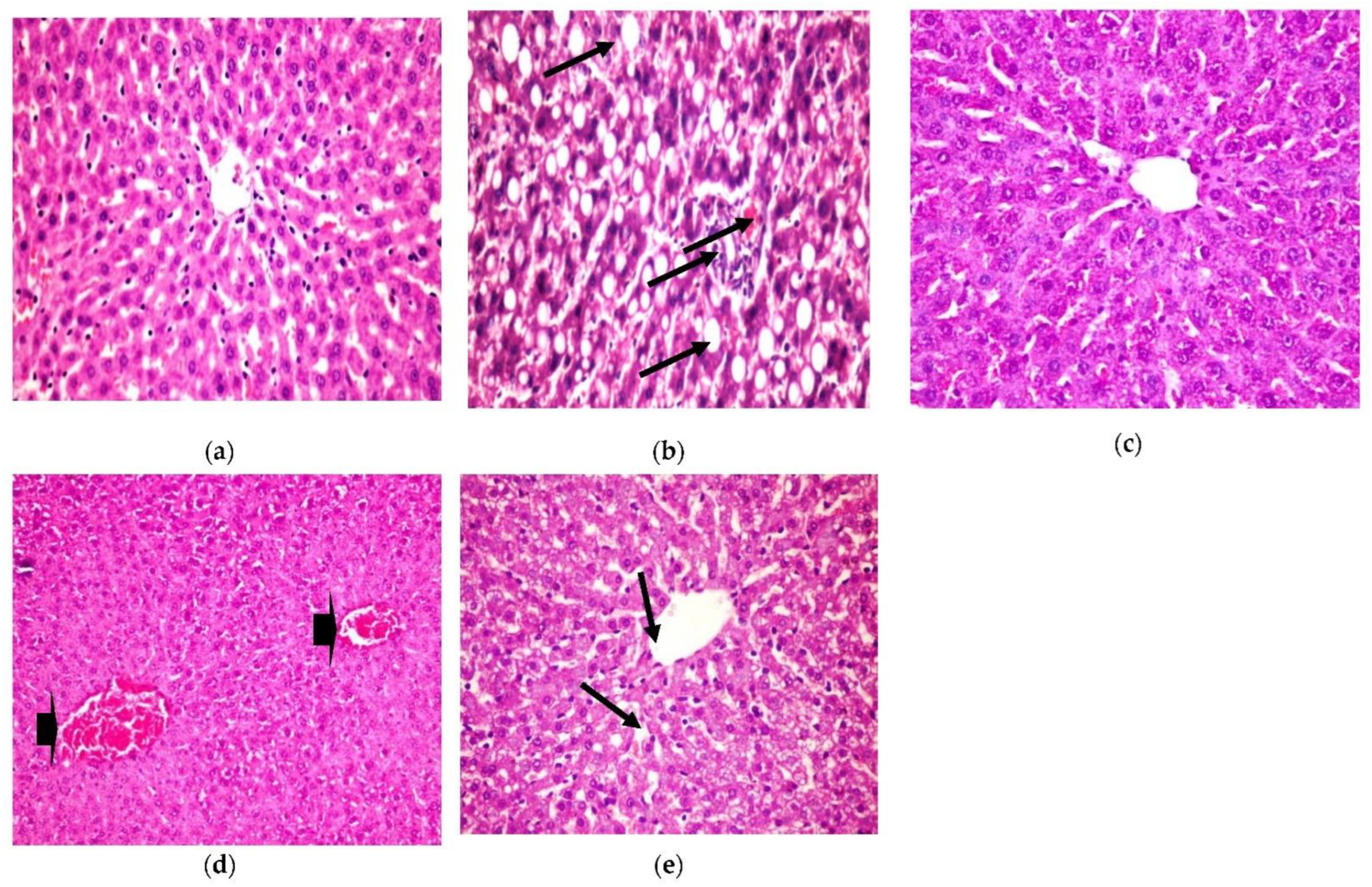 Plants 11 00830 g005