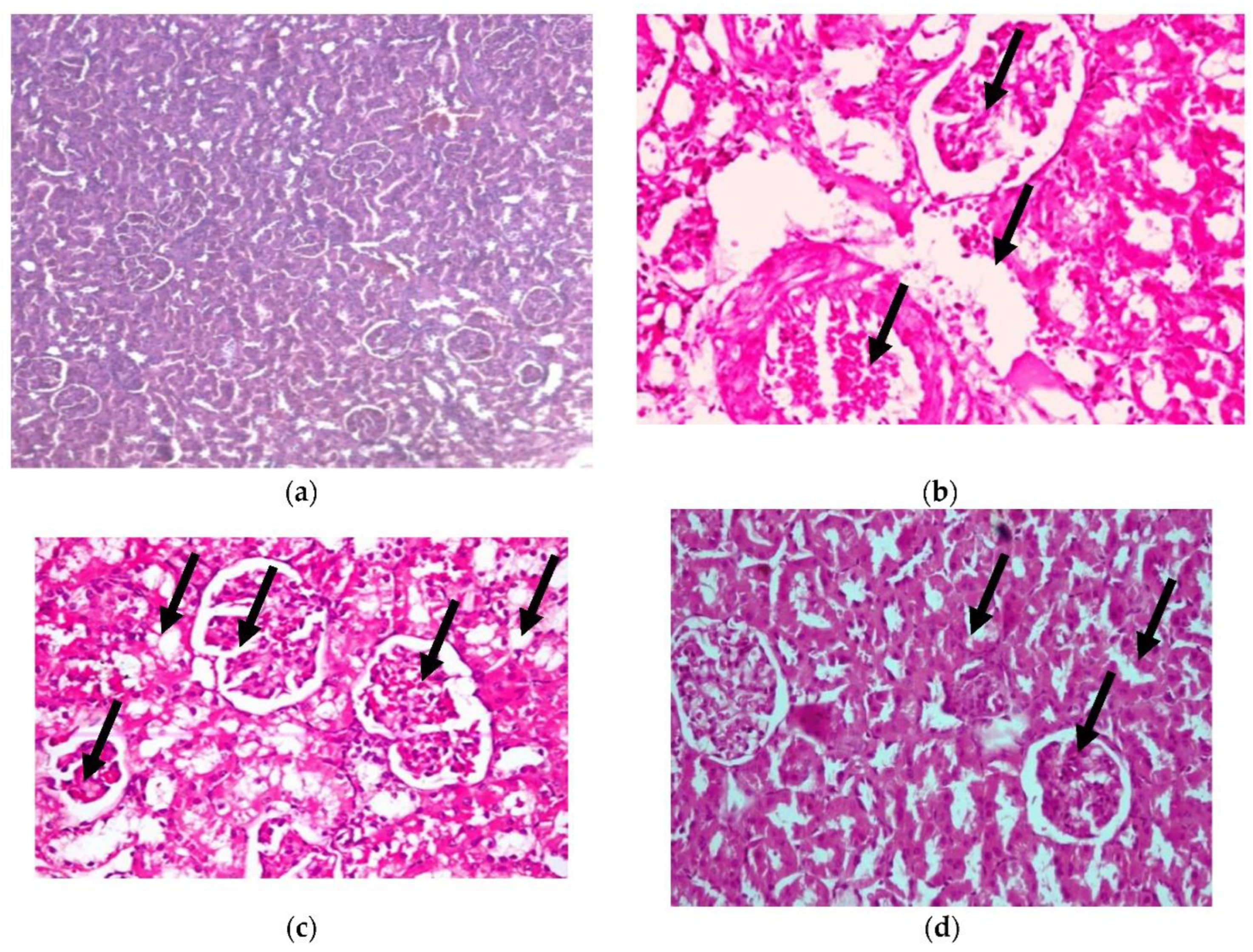 Plants 11 00830 g007