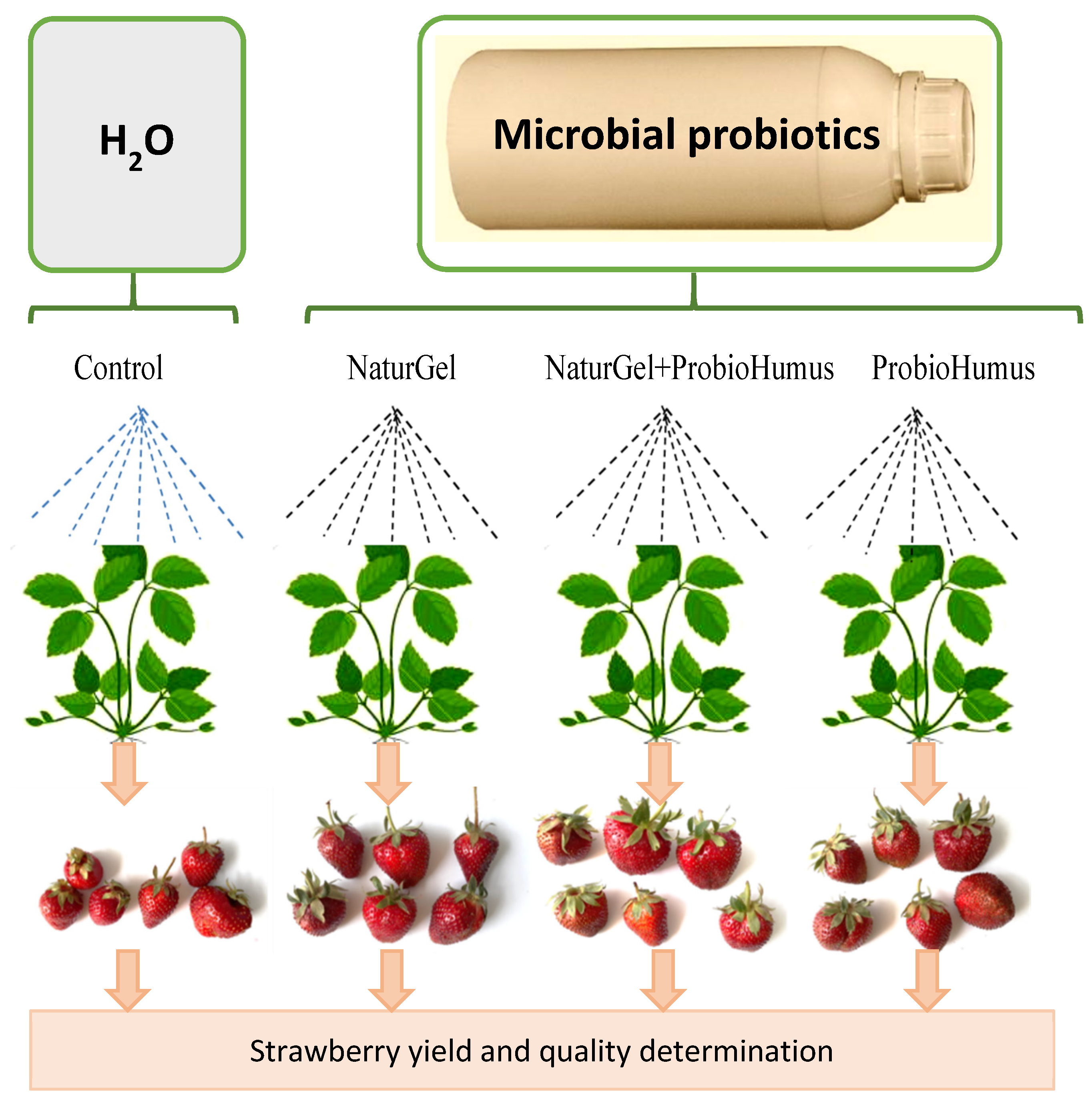 Plants 11 00831 g006