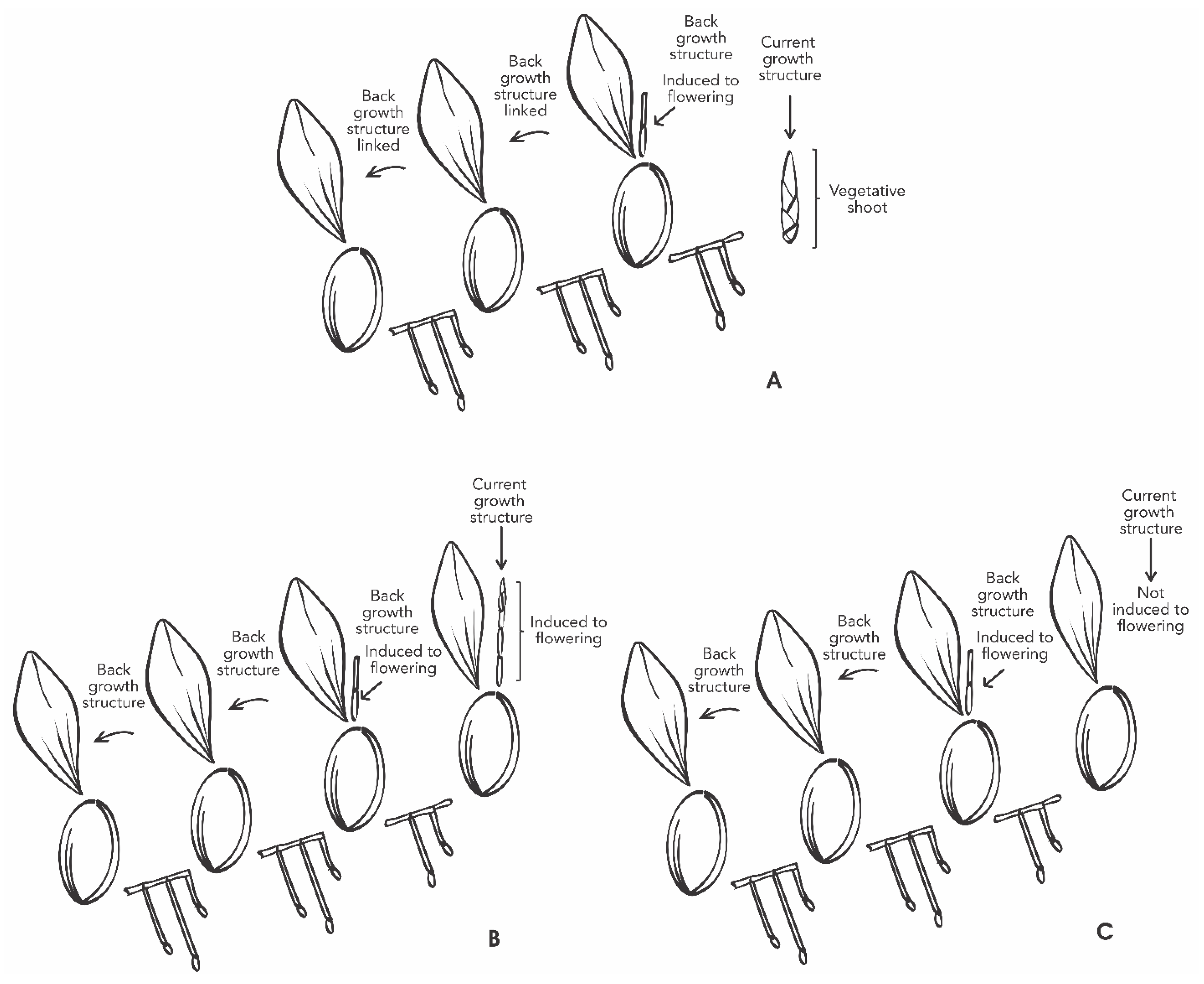 Plants 11 00845 g009