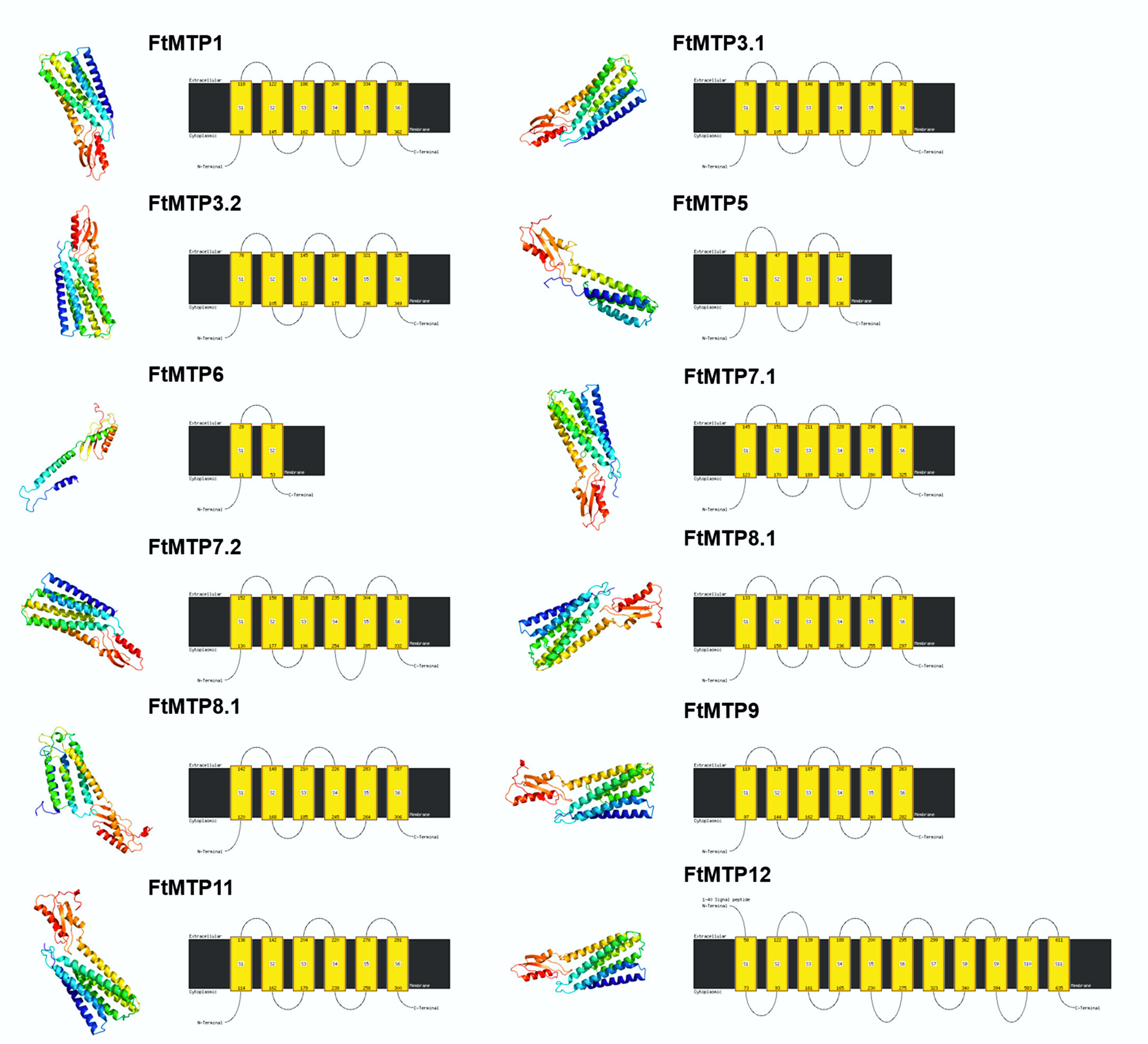 Plants 11 00850 g003