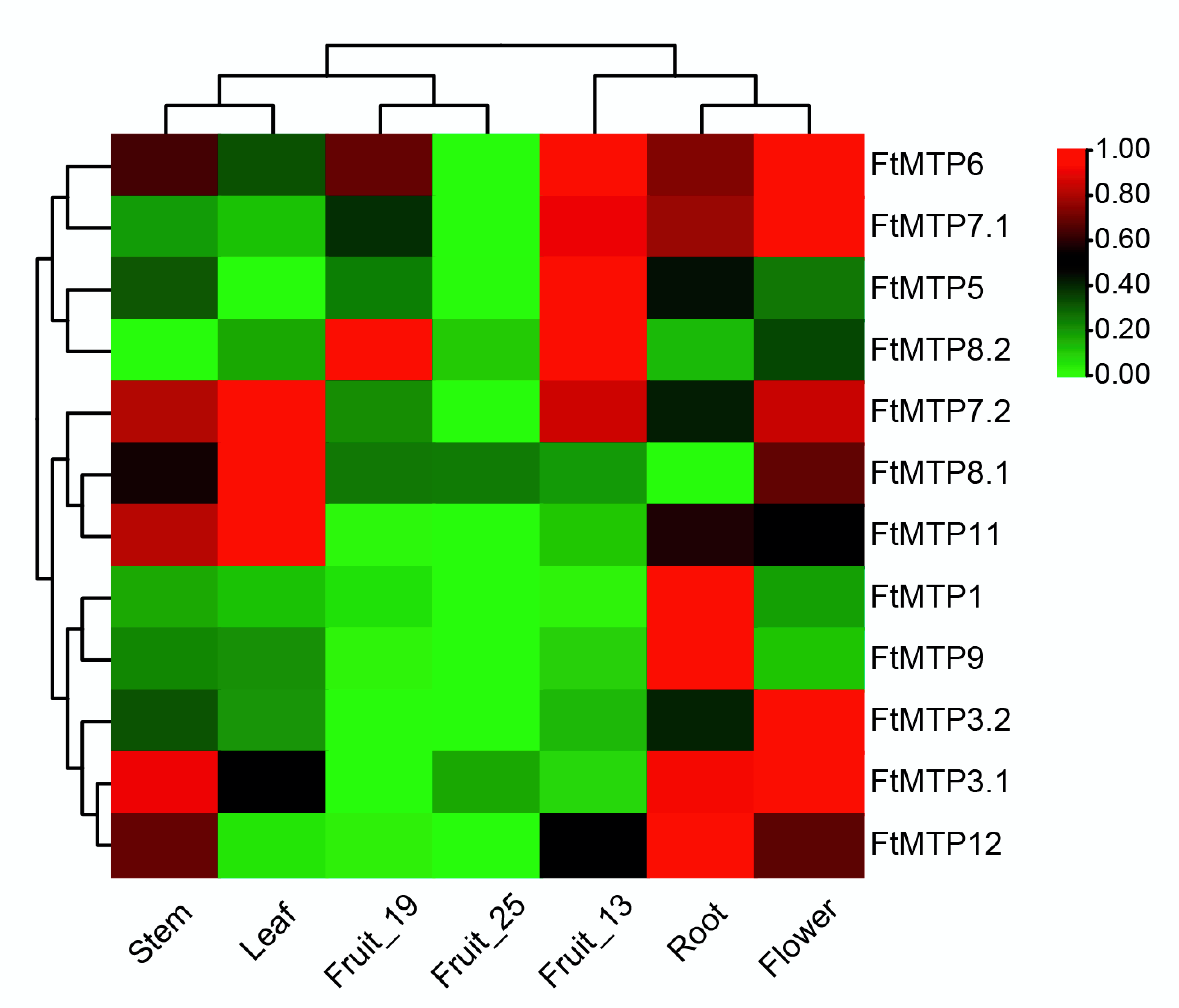 Plants 11 00850 g005