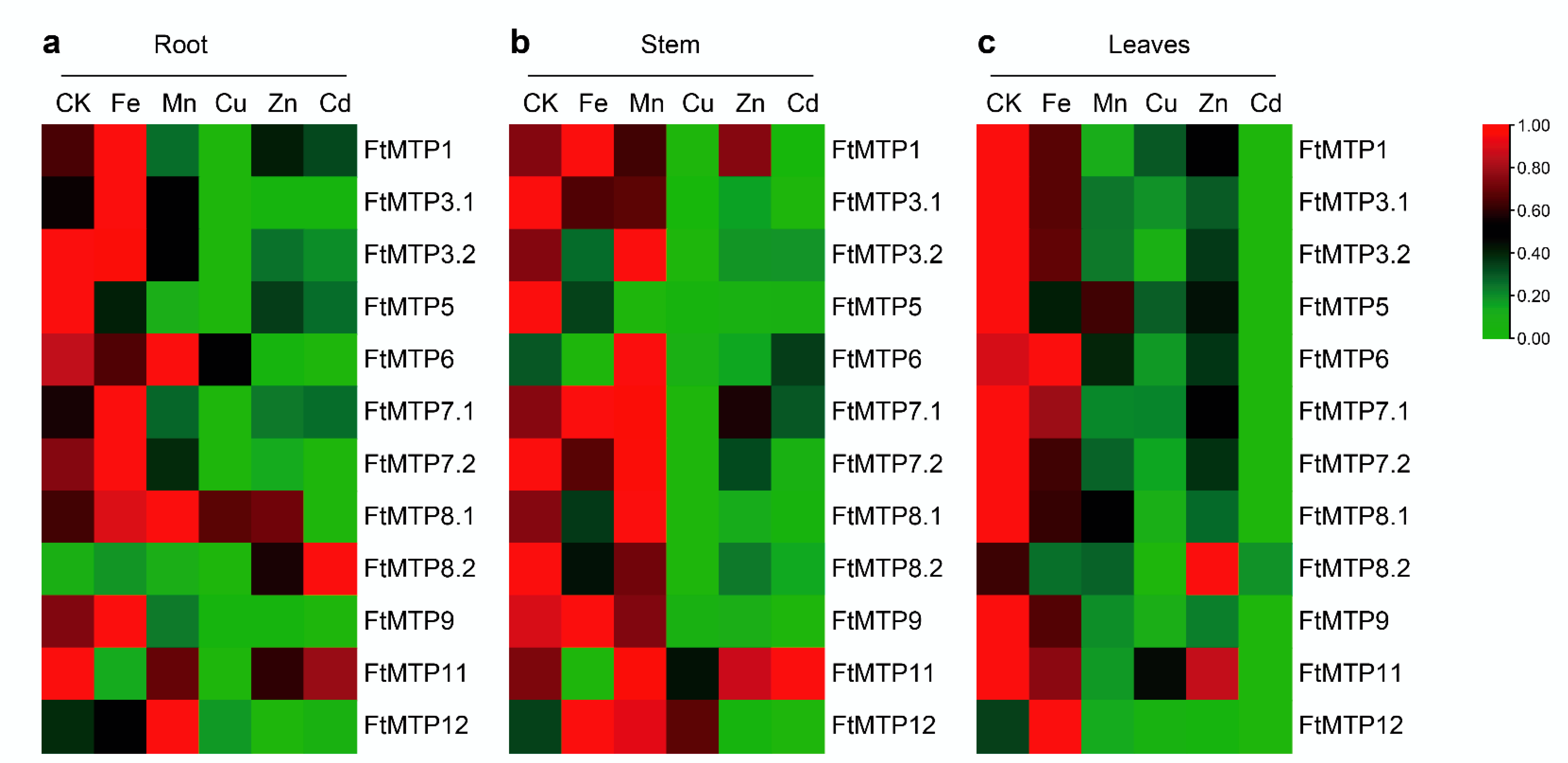Plants 11 00850 g006