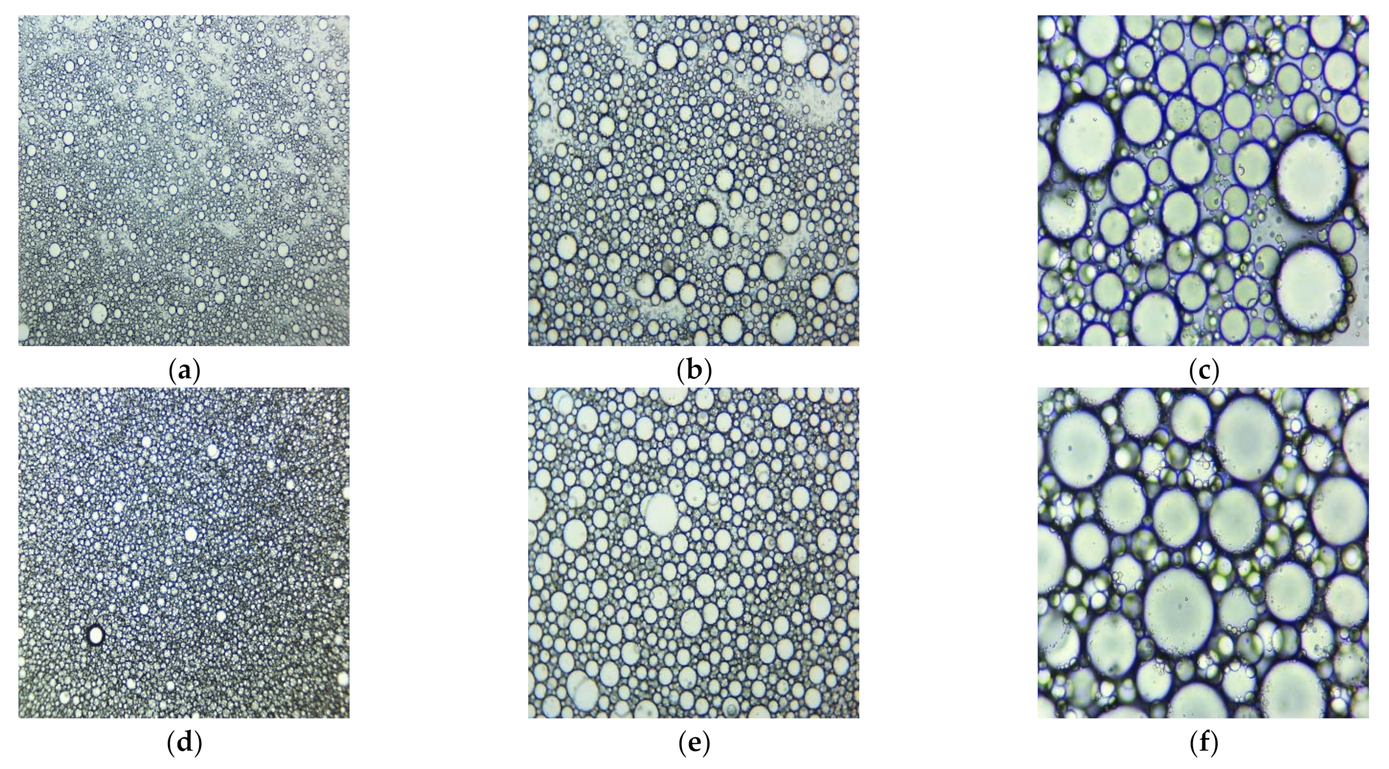 Plants 11 00854 g004