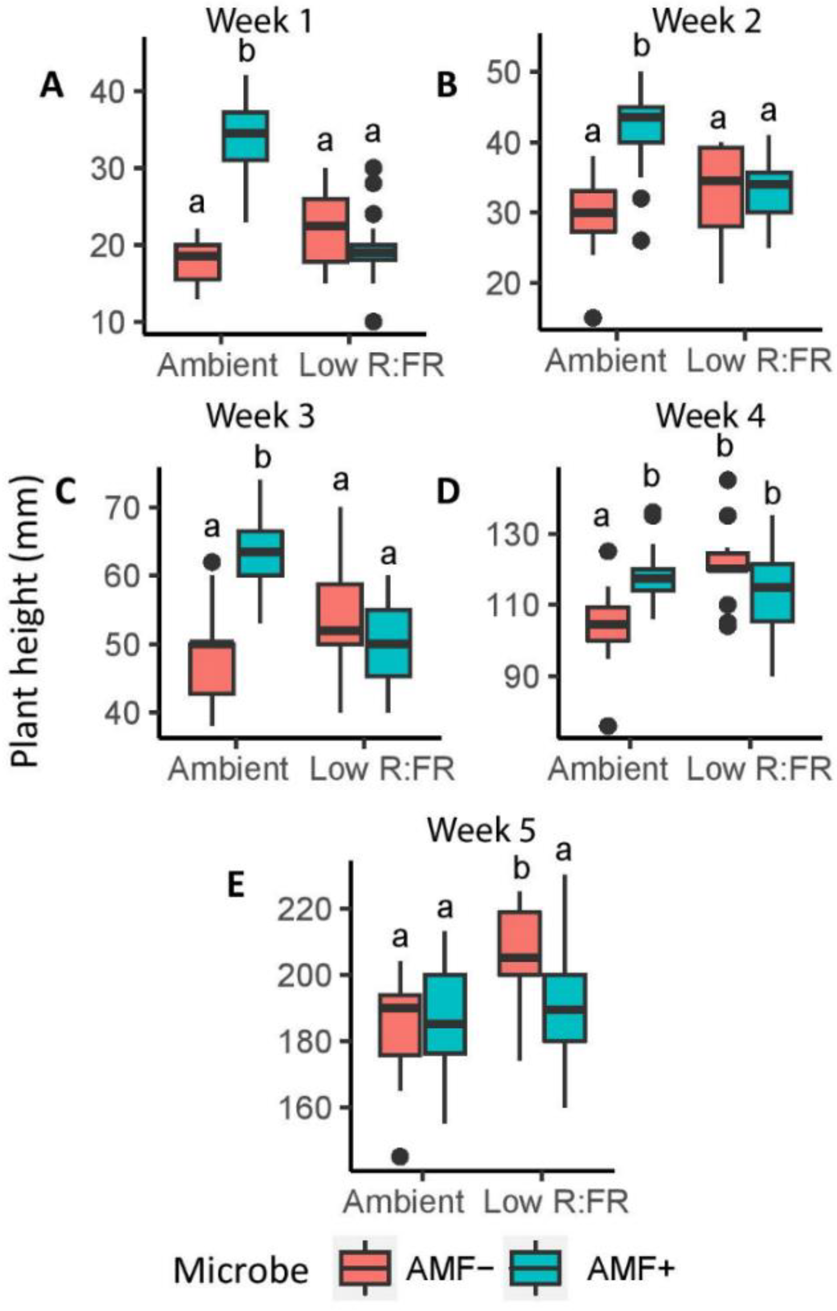 Plants 11 00861 g002 Plants 11 00861 g002