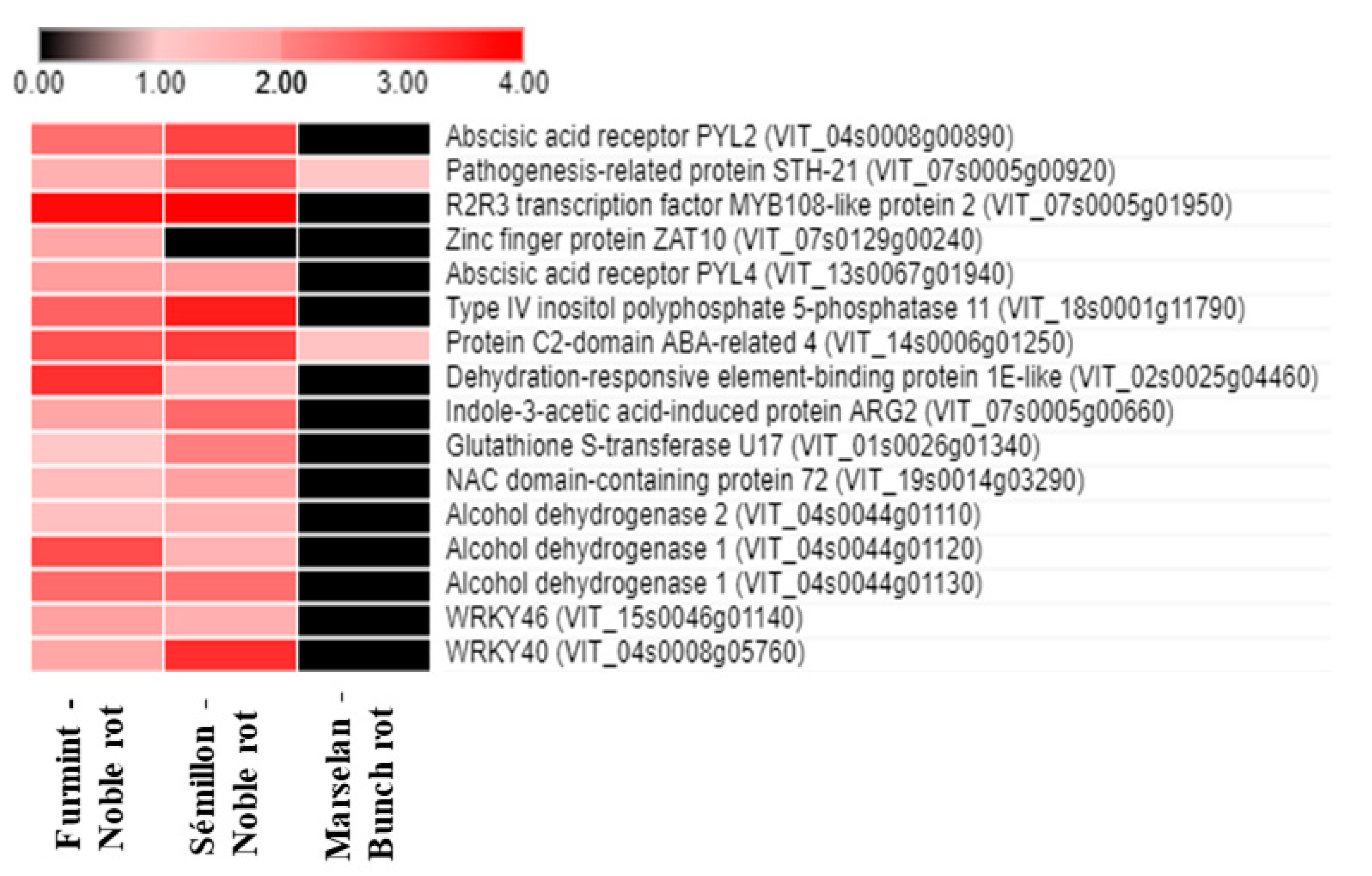 Plants 11 00864 g004 Plants 11 00864 g004