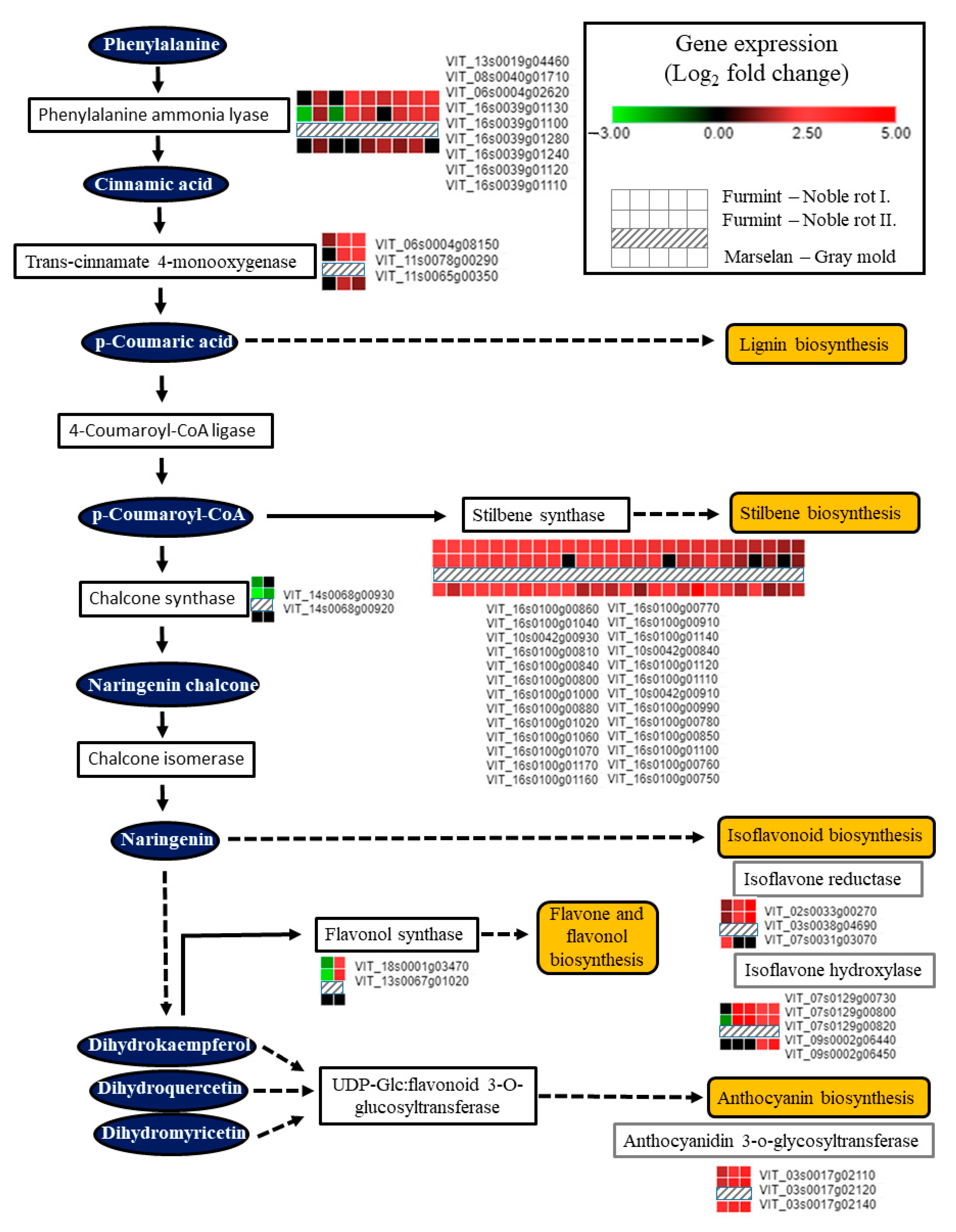 Plants 11 00864 g007 Plants 11 00864 g007