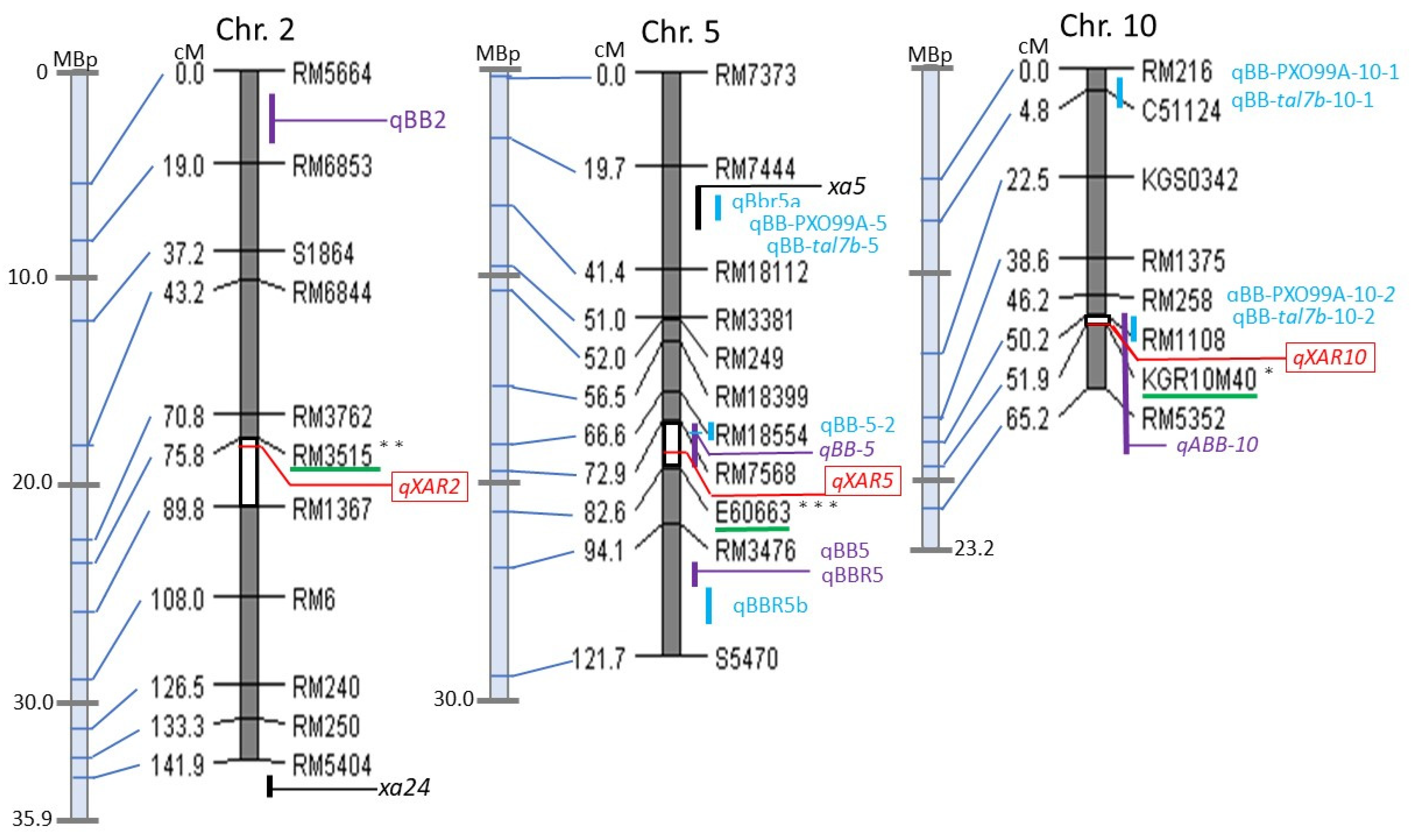 Plants 11 00867 g005