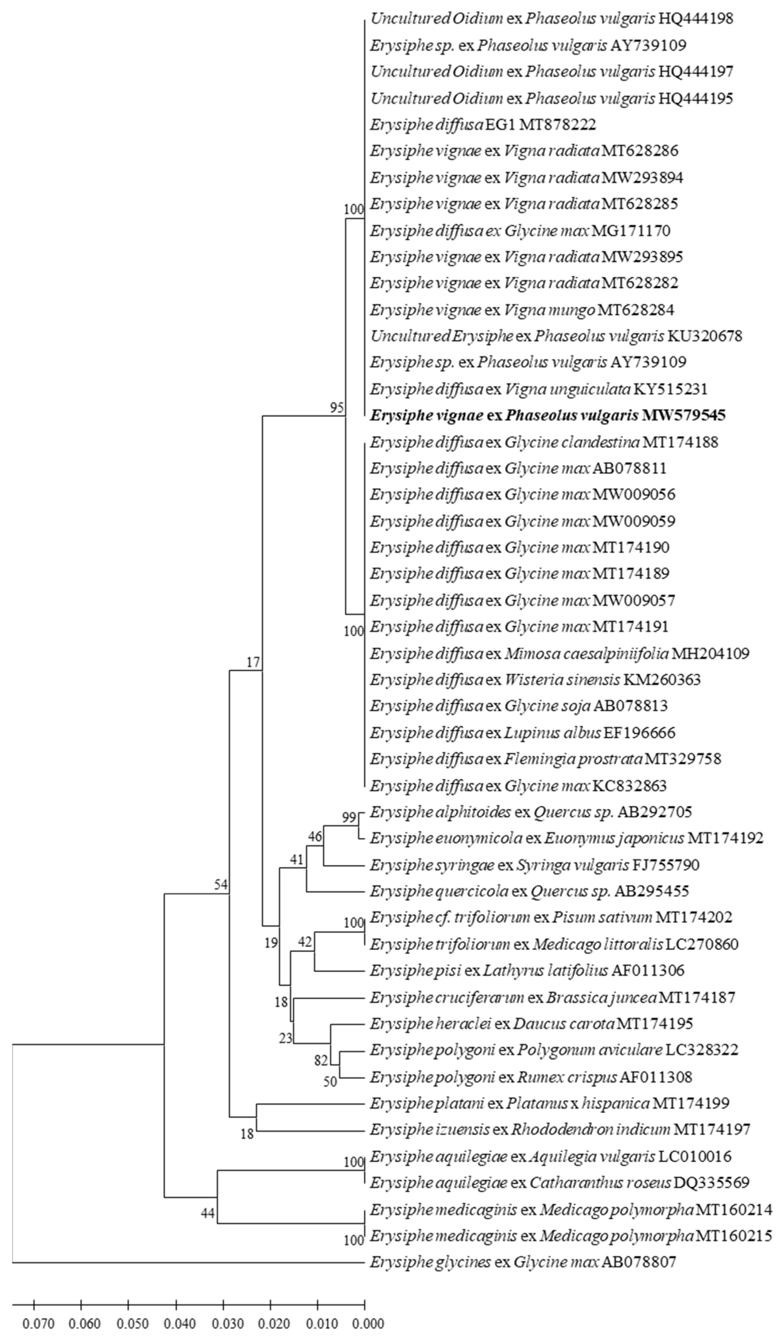 Plants 11 00874 g003 Plants 11 00874 g003