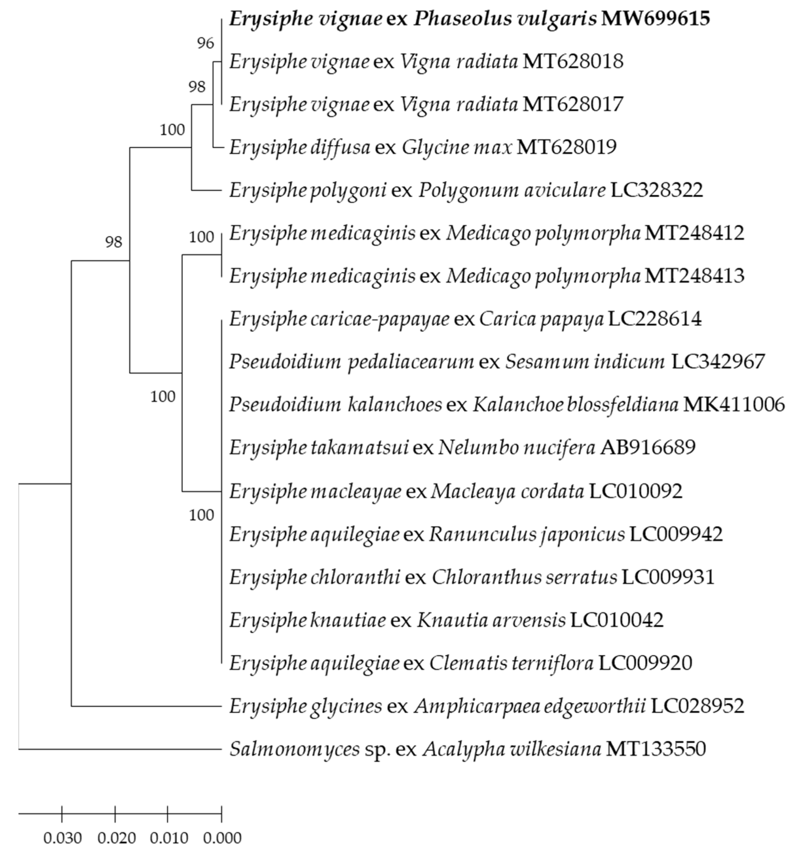 Plants 11 00874 g004 Plants 11 00874 g004
