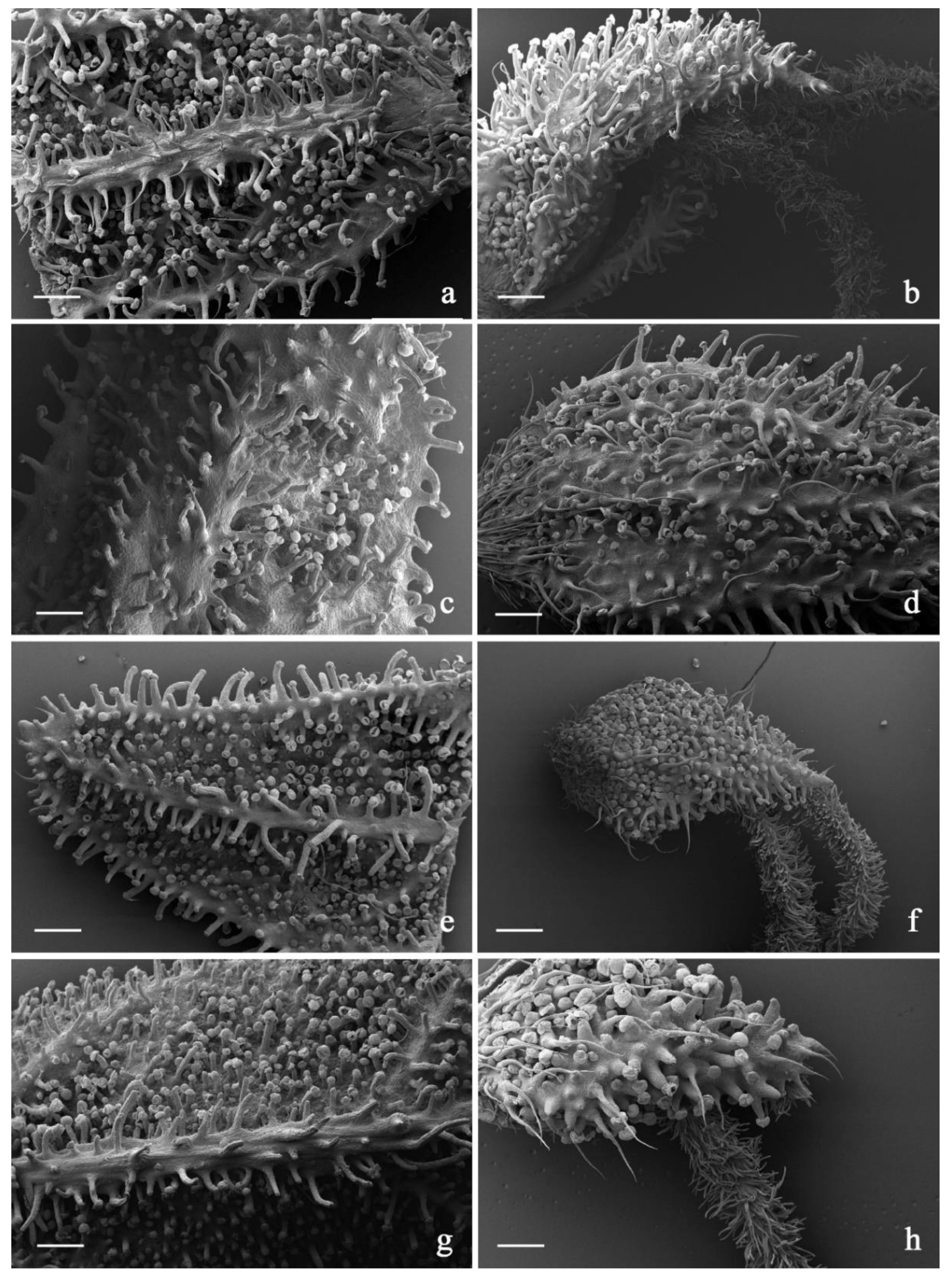 Plants 11 00891 g009