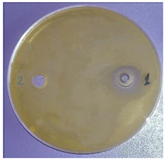 Plants 11 00896 i001