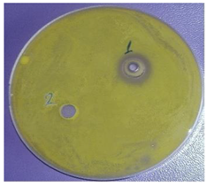 Plants 11 00896 i003