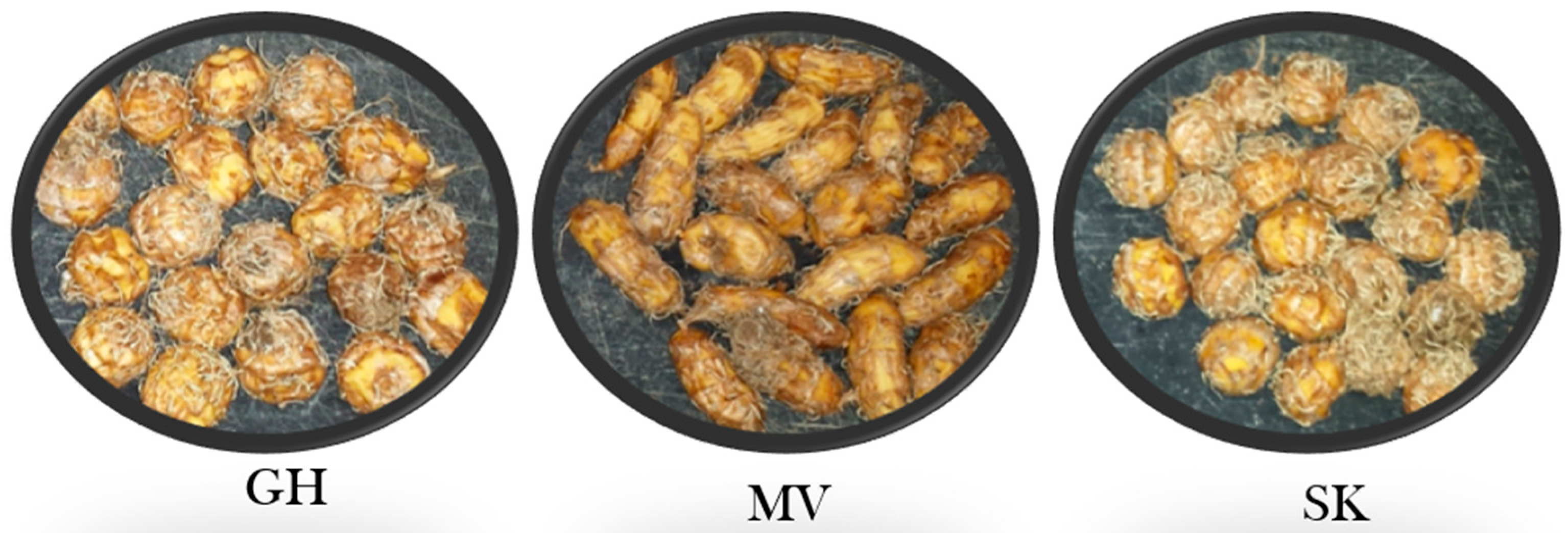 Plants 11 00897 g006