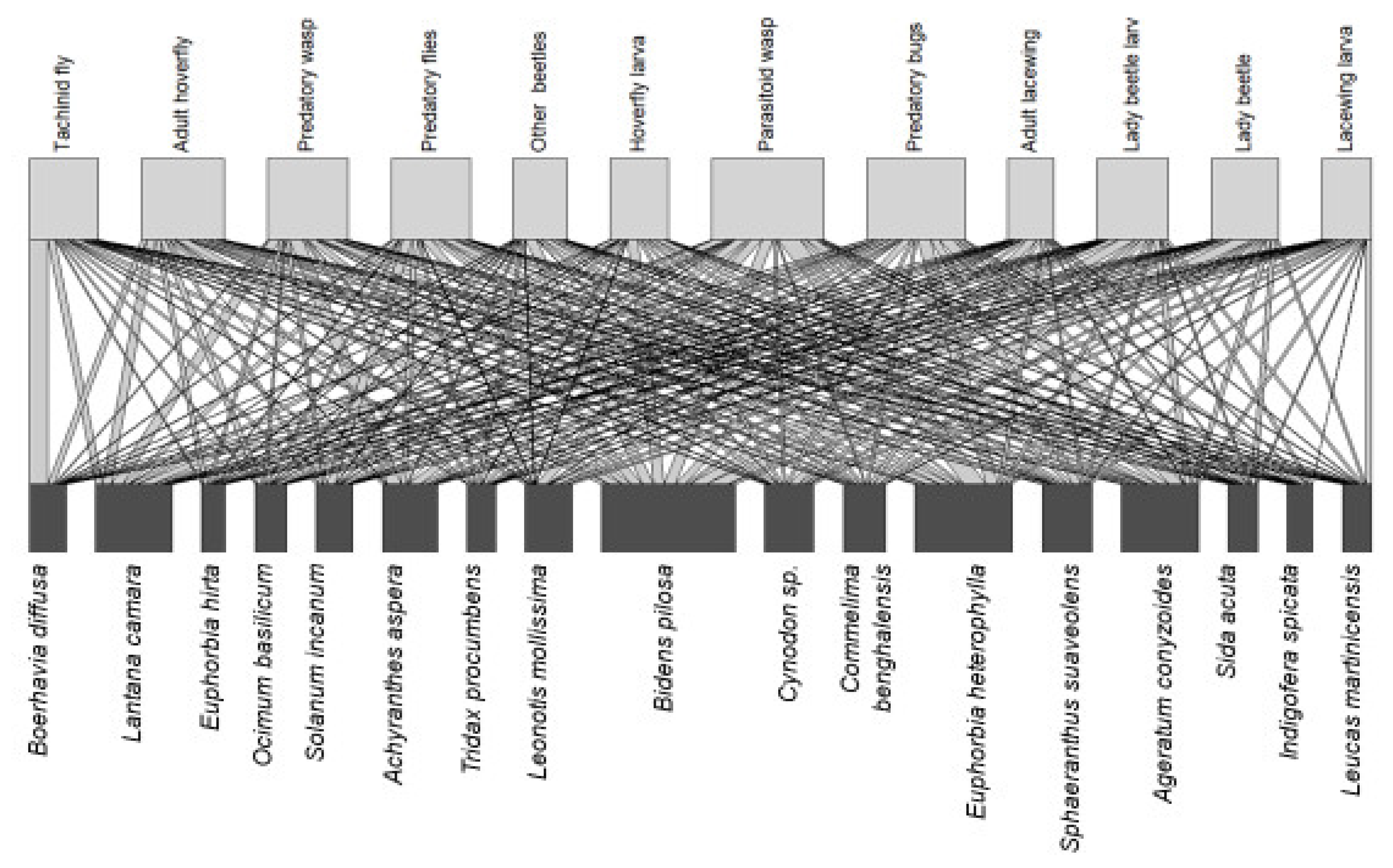 Plants 11 00898 g001