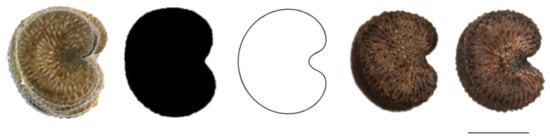 Plants 11 00901 g0a1