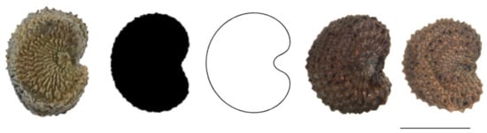 Plants 11 00901 g0a10