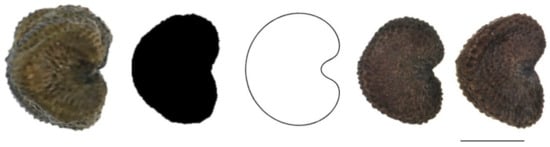 Plants 11 00901 g0a11