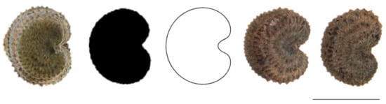 Plants 11 00901 g0a3