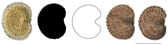 Plants 11 00901 g0a4