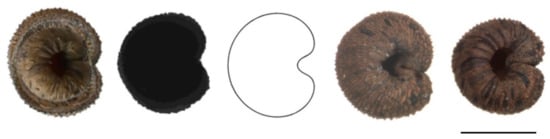 Plants 11 00901 g0a6