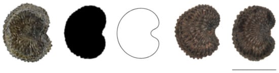 Plants 11 00901 g0a7