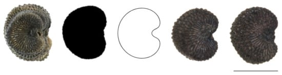 Plants 11 00901 g0a8