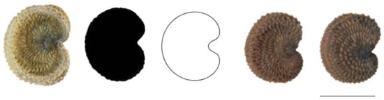 Plants 11 00901 g0a9