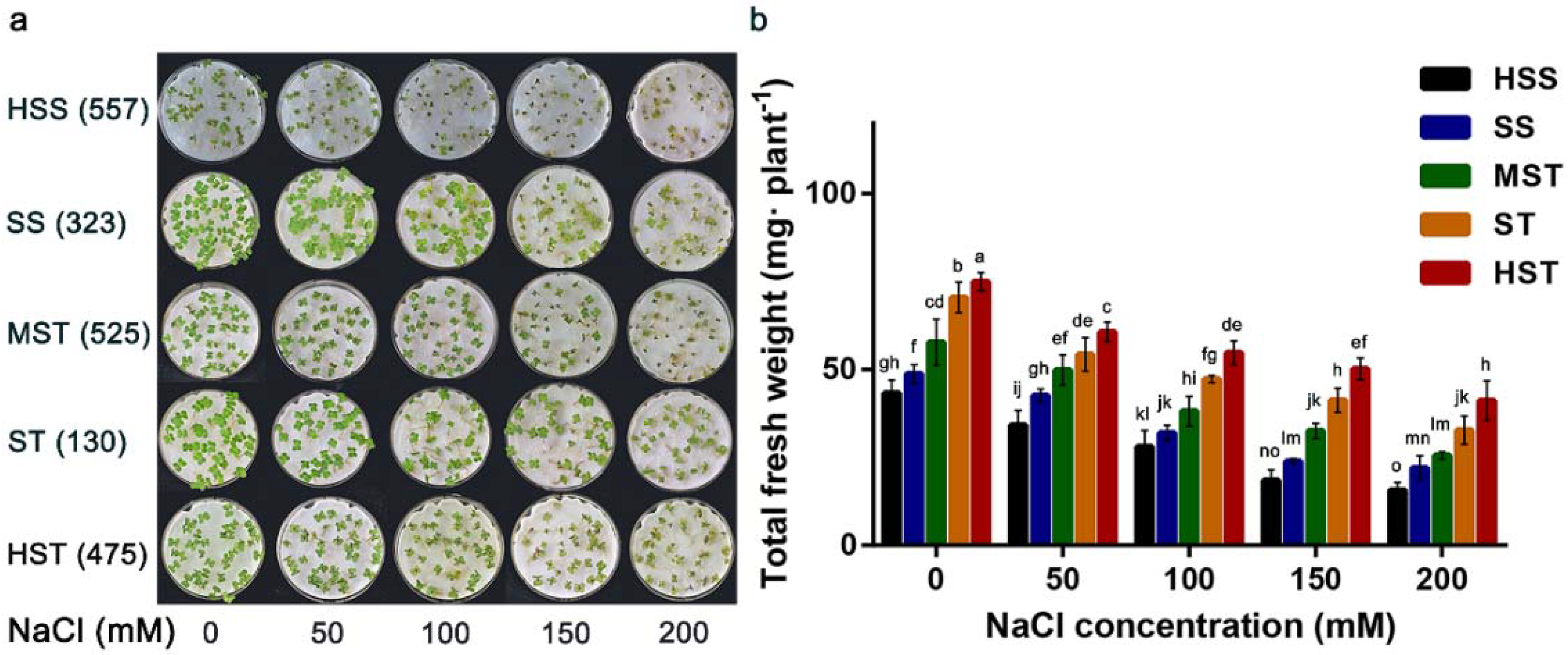 Plants 11 00906 g001