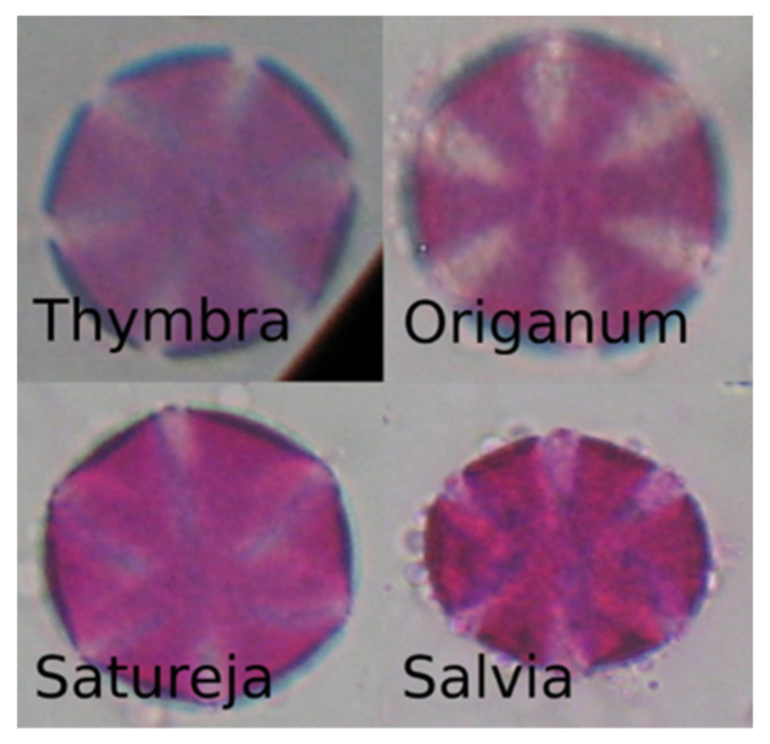 Plants 11 00919 g009