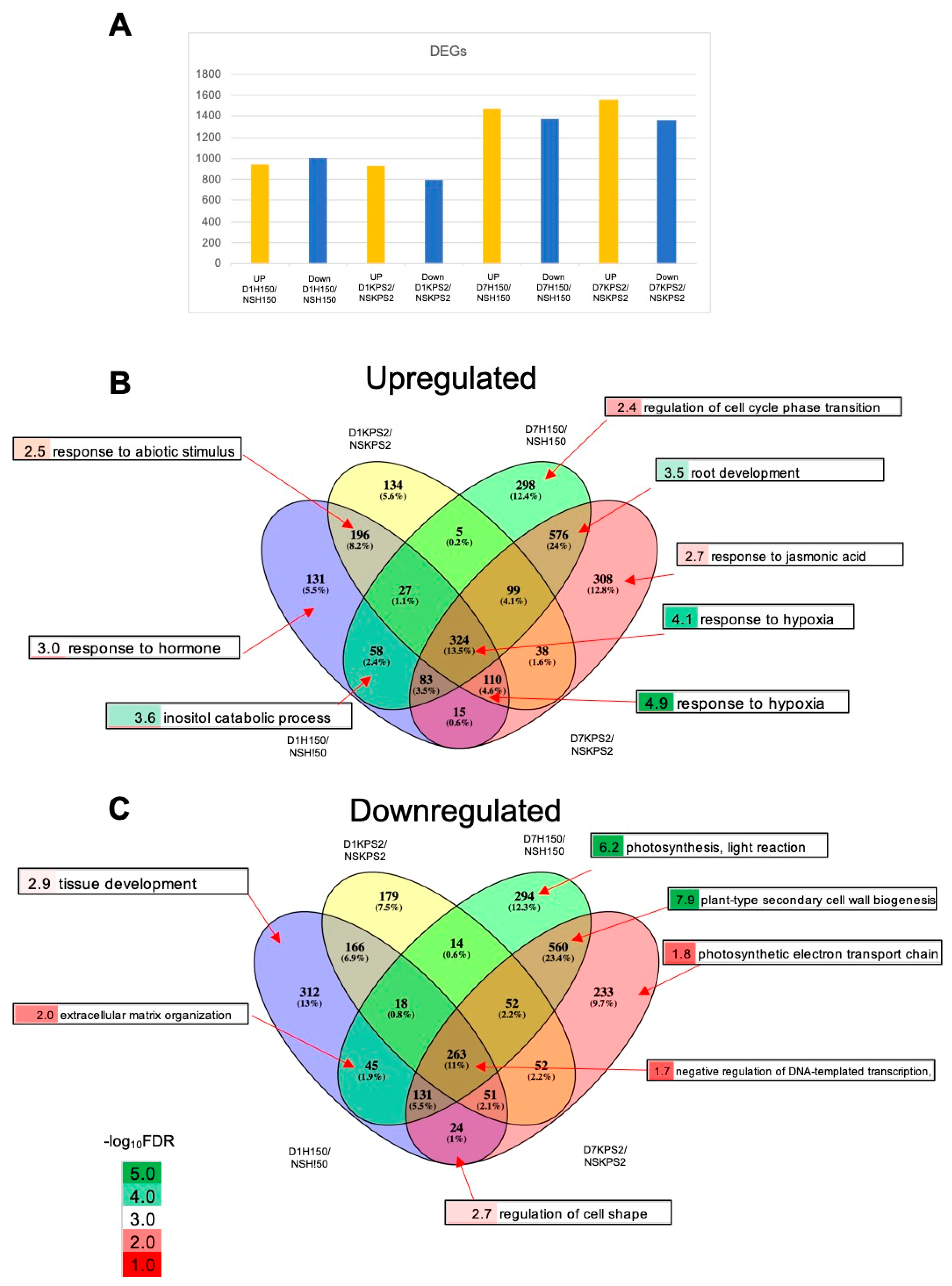 Plants 11 00930 g002