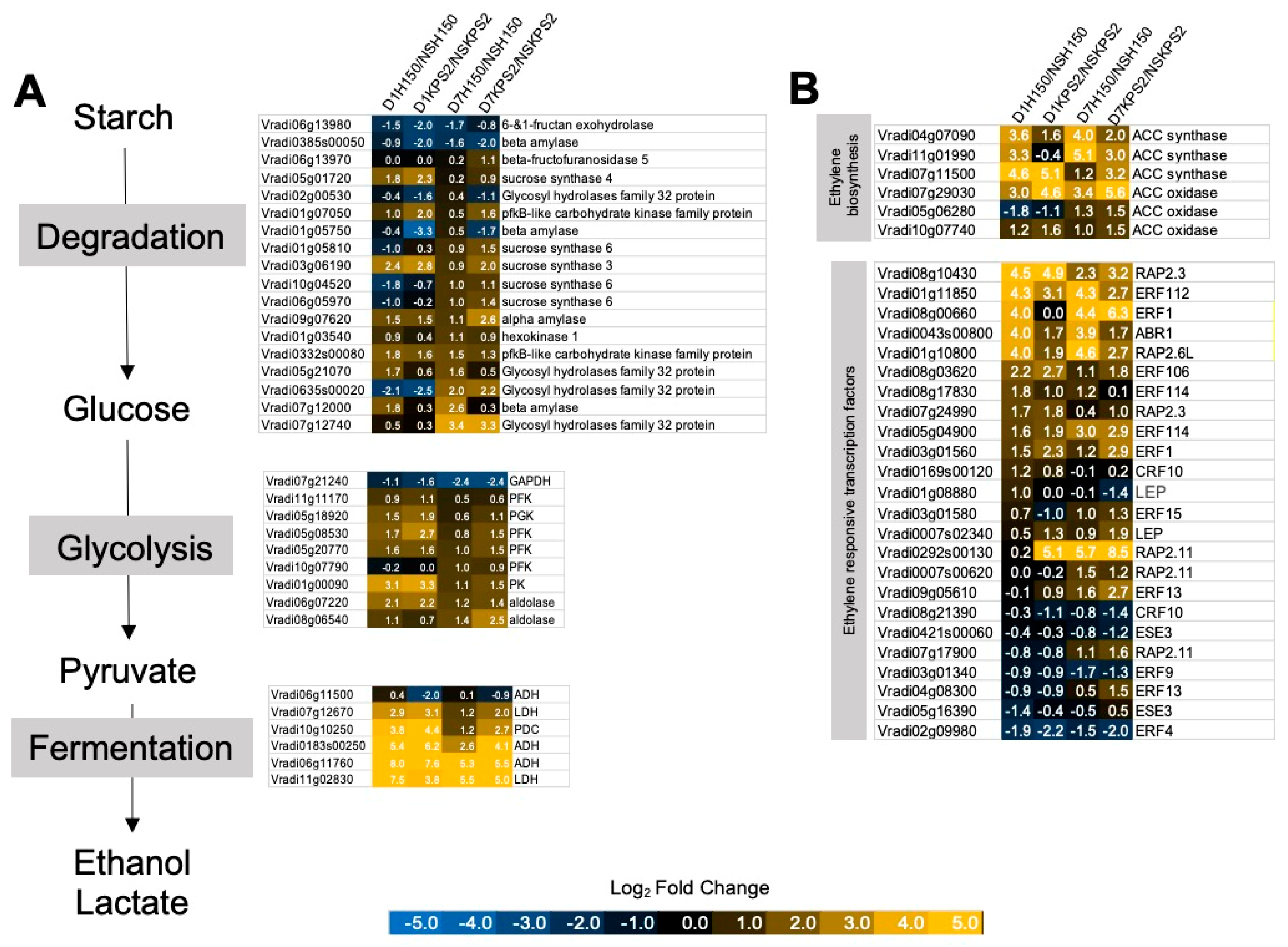 Plants 11 00930 g004