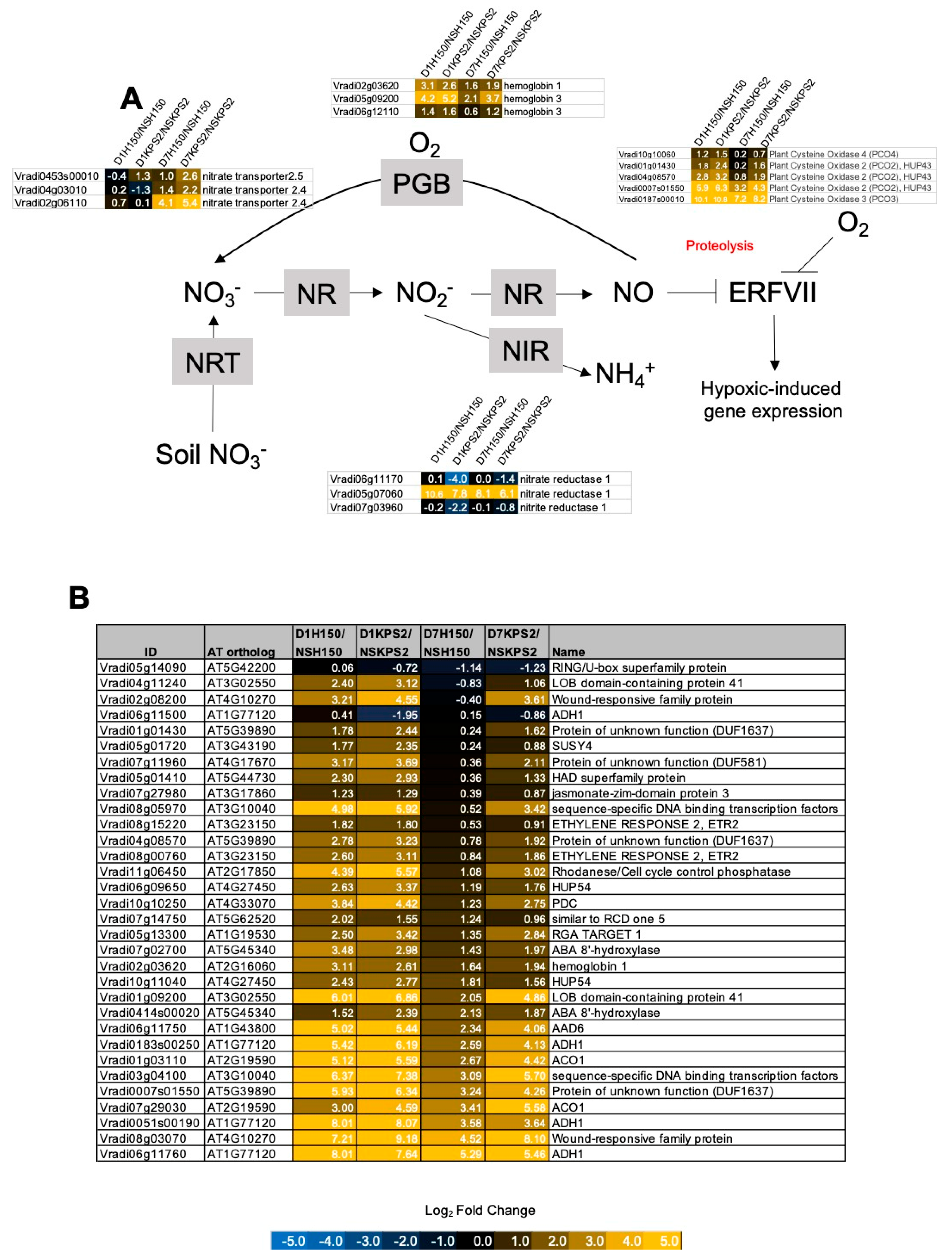 Plants 11 00930 g005