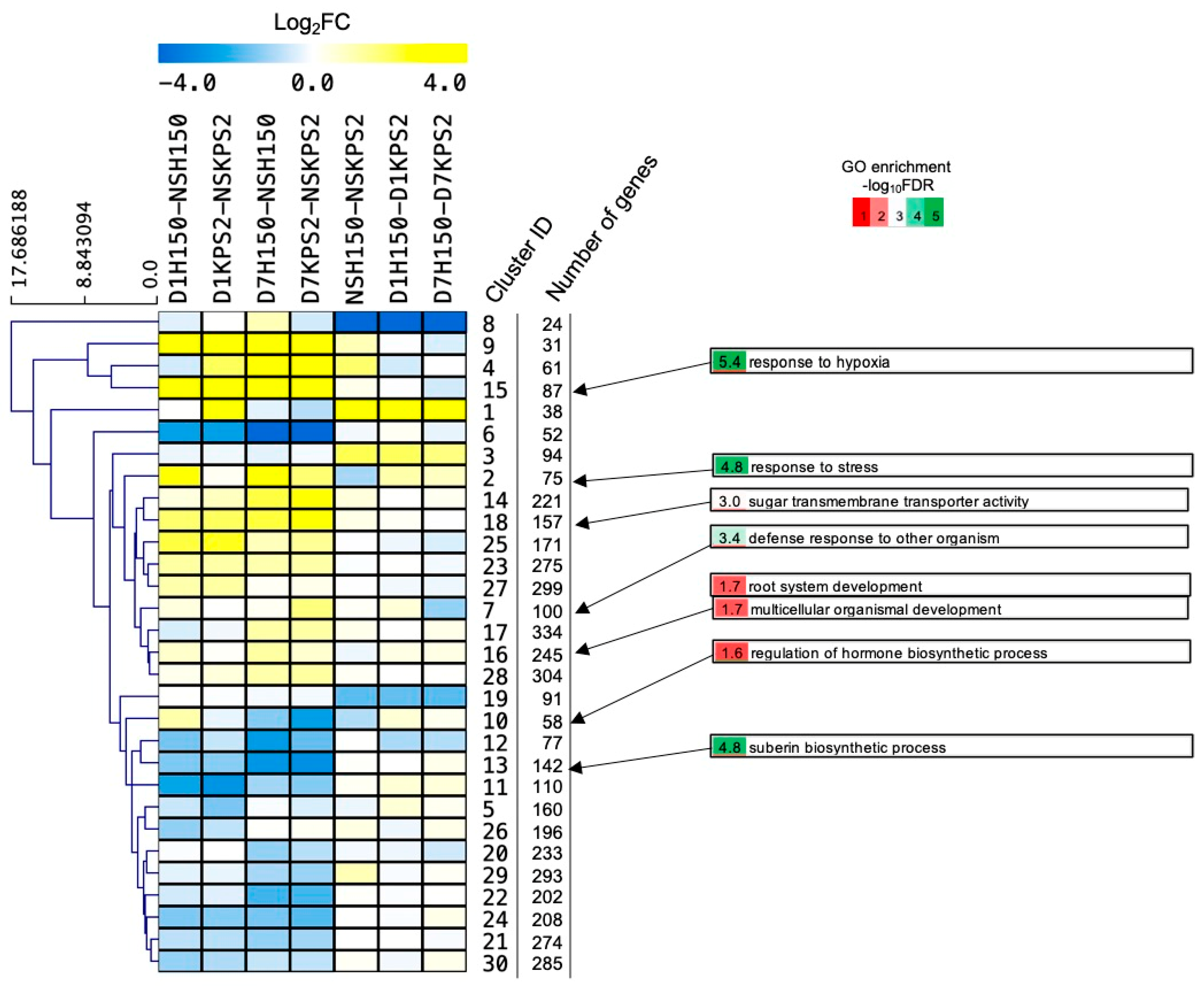 Plants 11 00930 g007