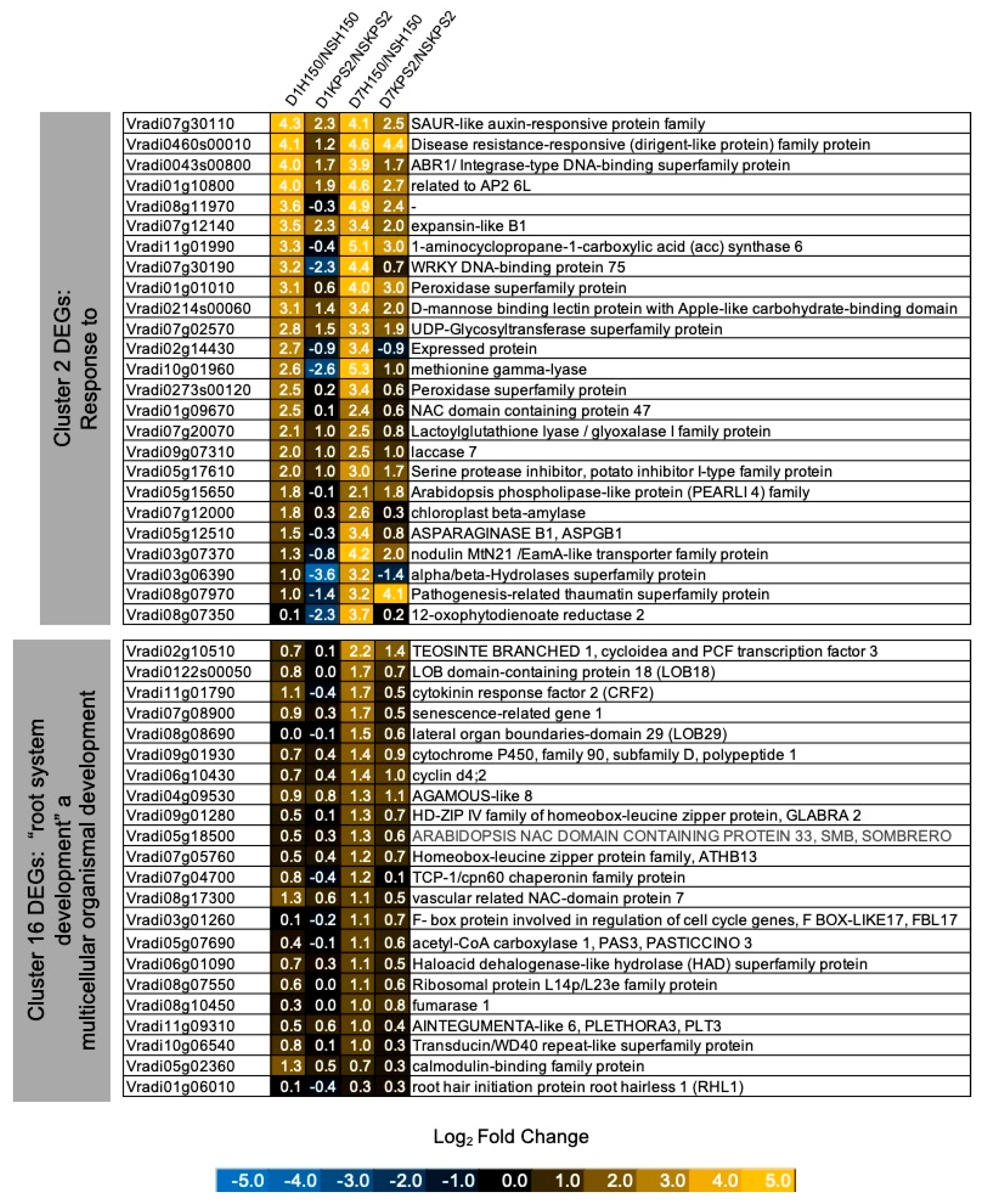 Plants 11 00930 g008