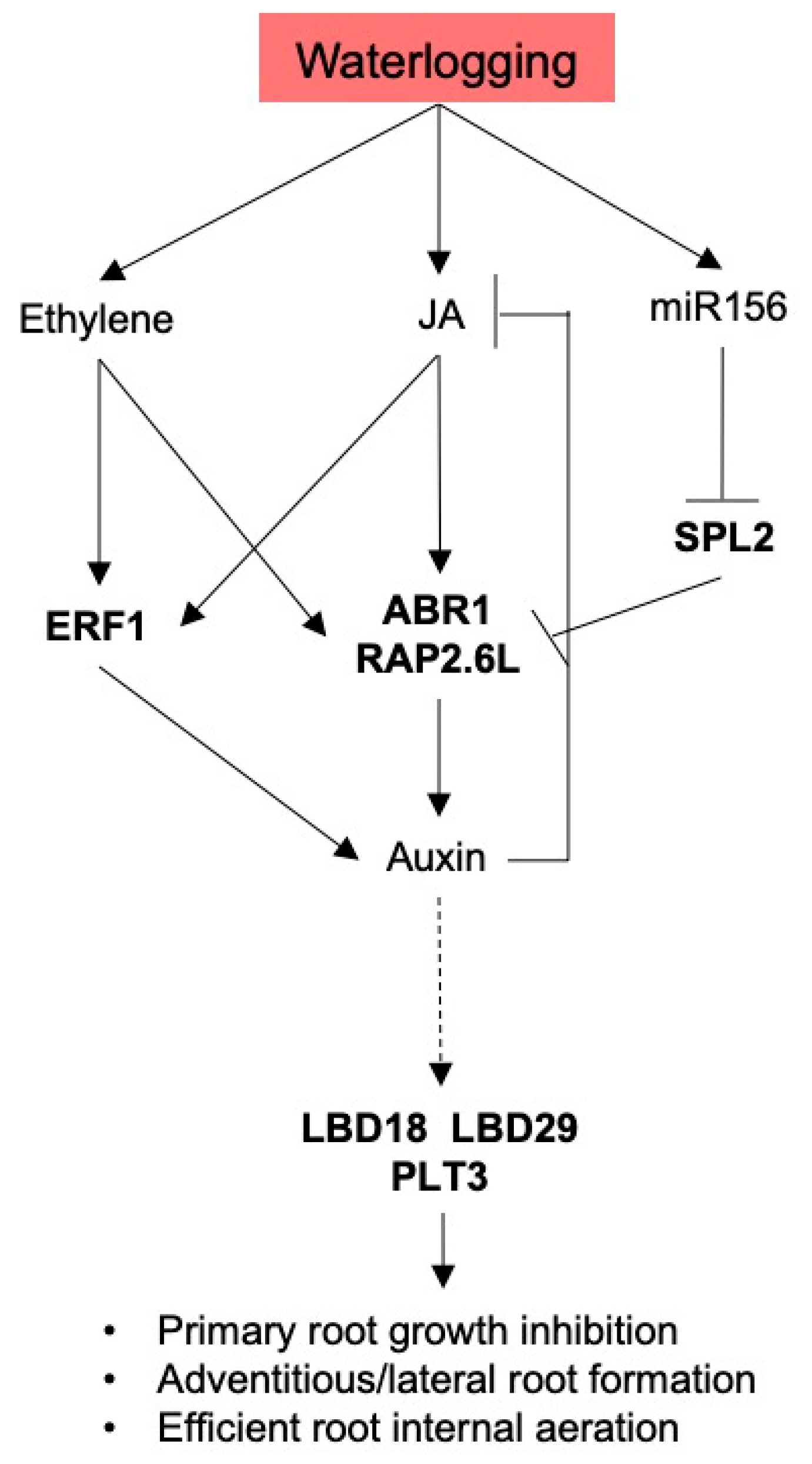 Plants 11 00930 g009