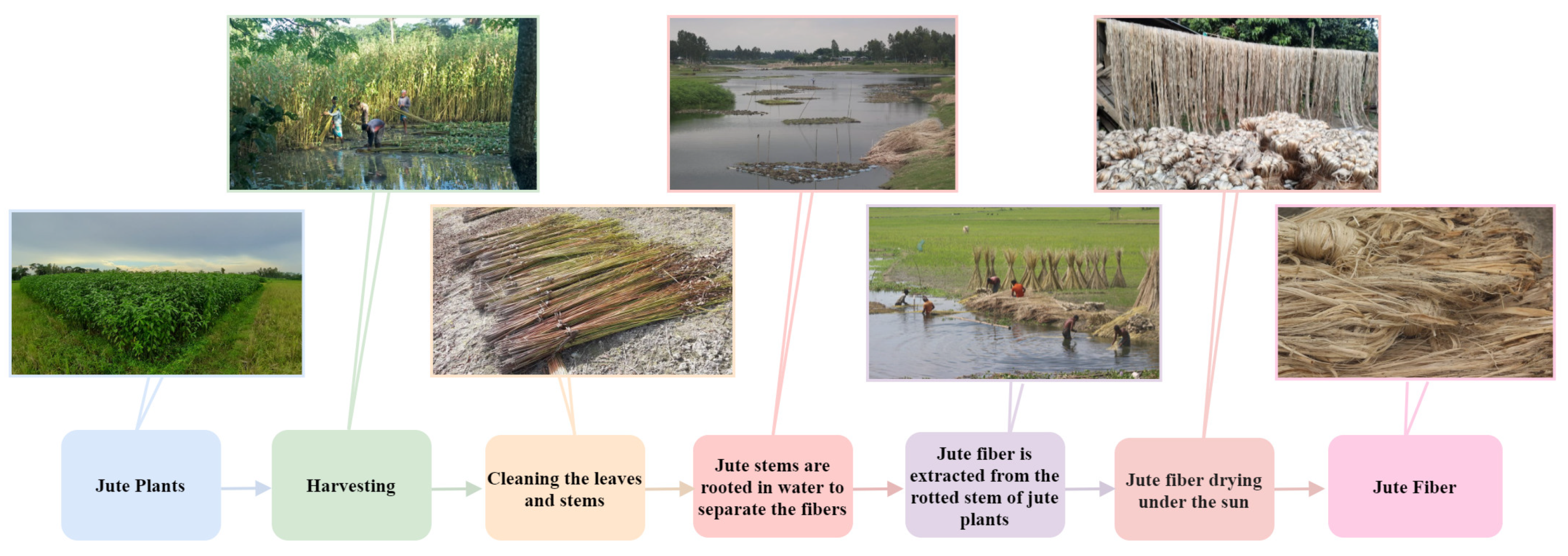 Plants 11 00937 g001