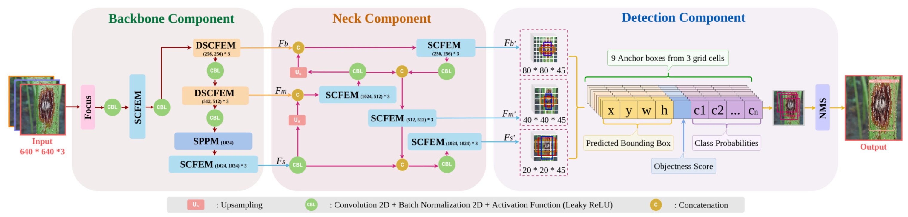 Plants 11 00937 g003