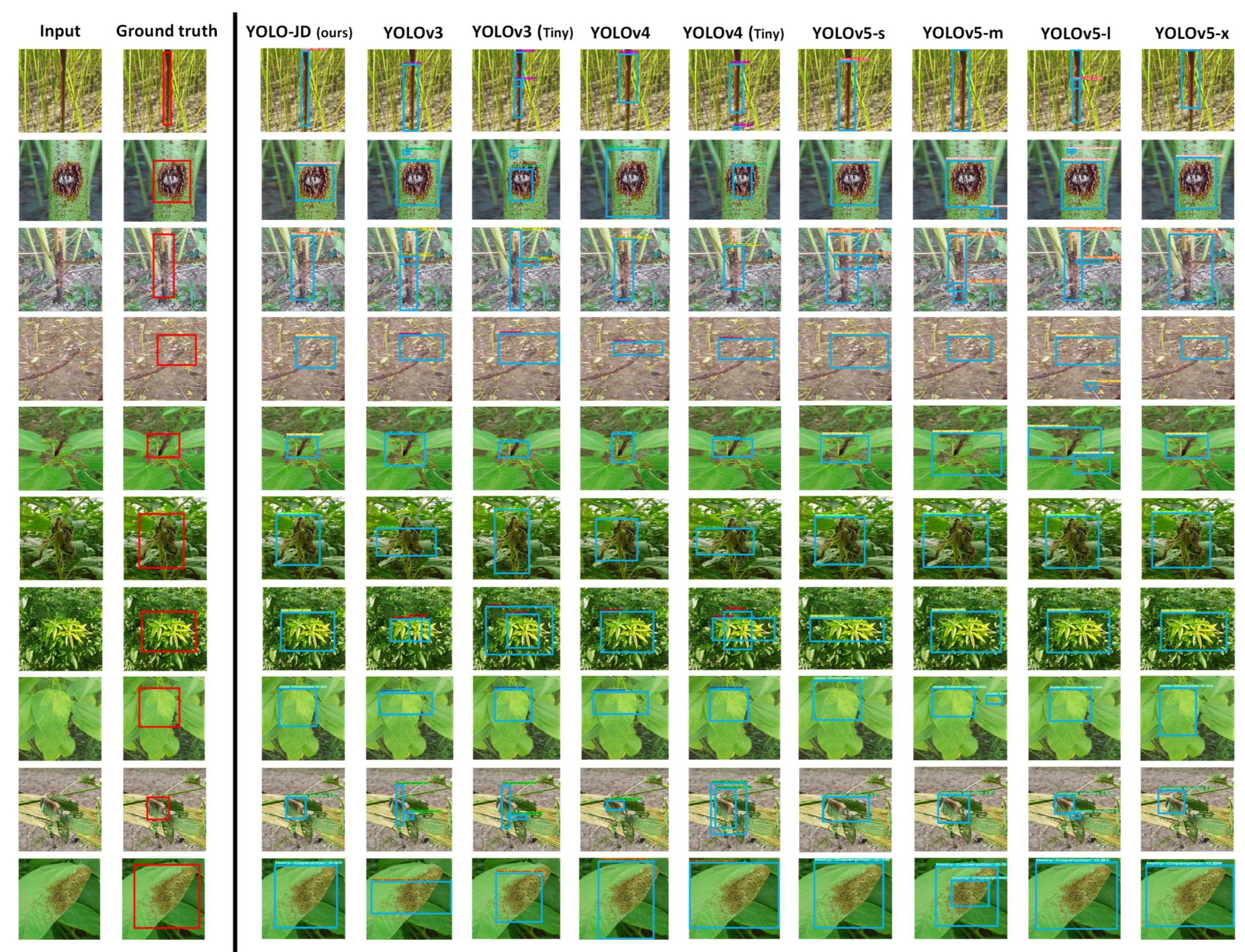 Plants 11 00937 g005