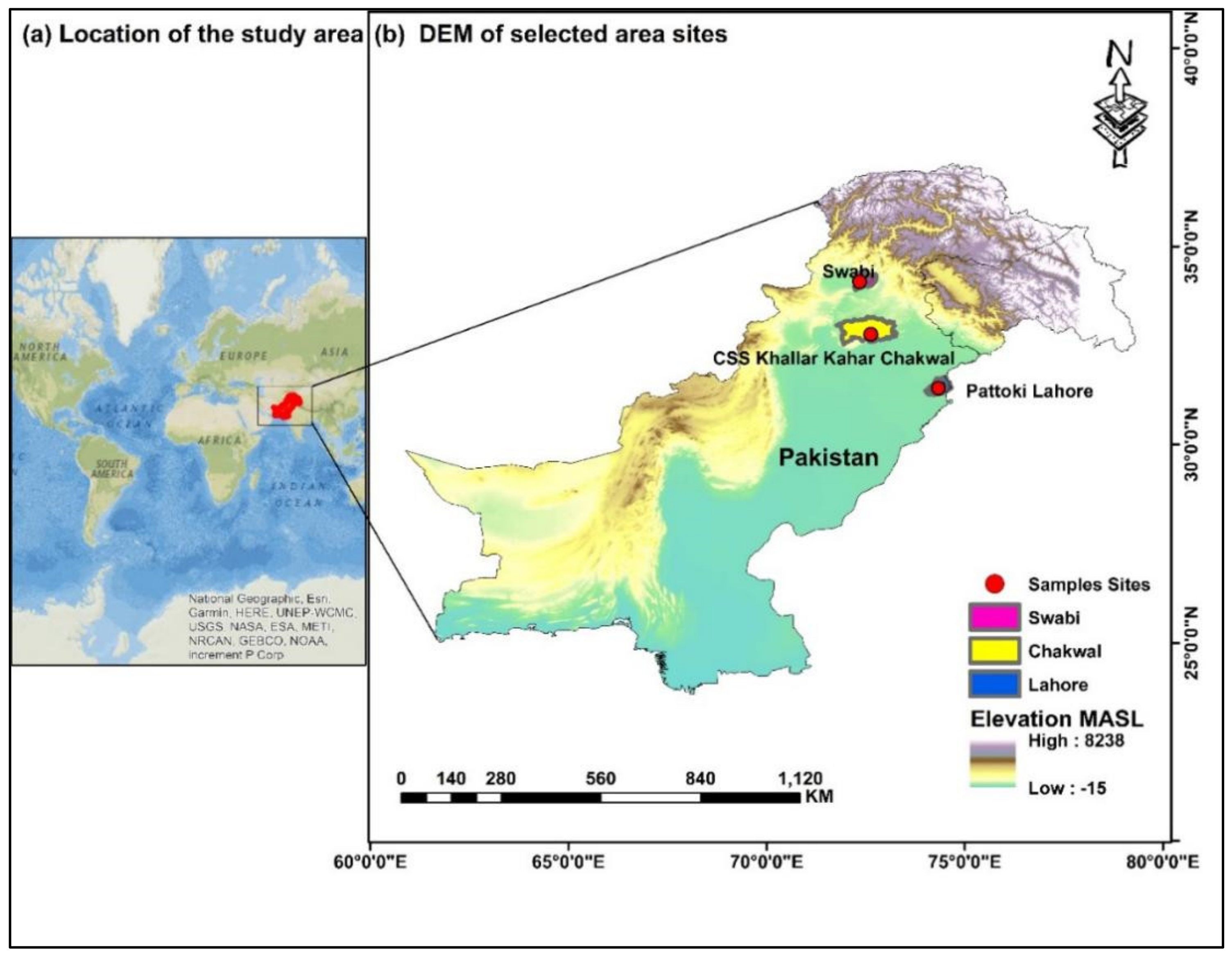 Plants 11 00950 g002