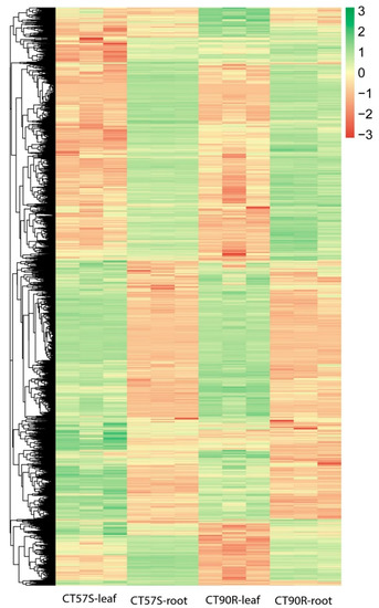 Plants 11 00961 g003 550