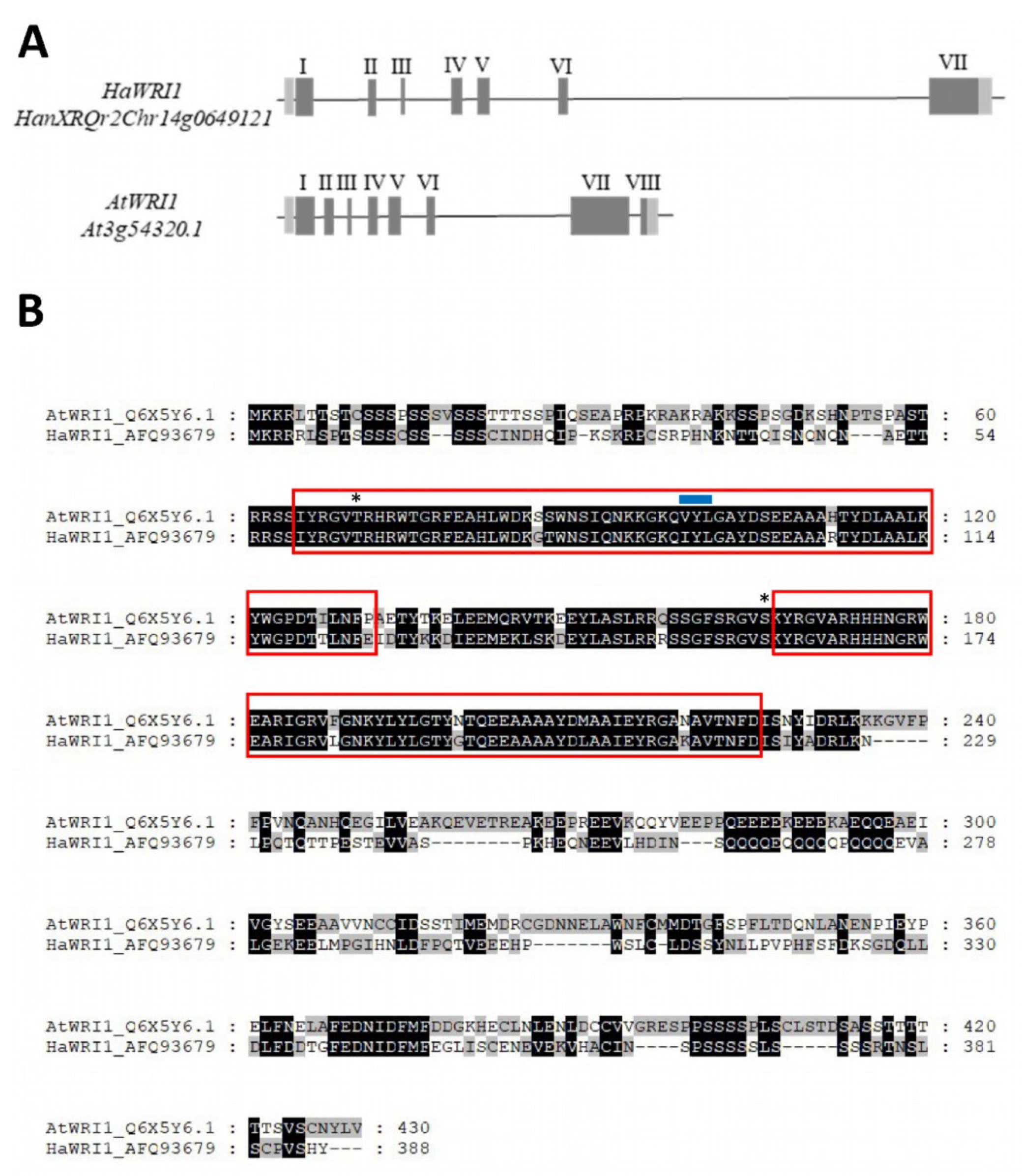 Plants 11 00972 g001