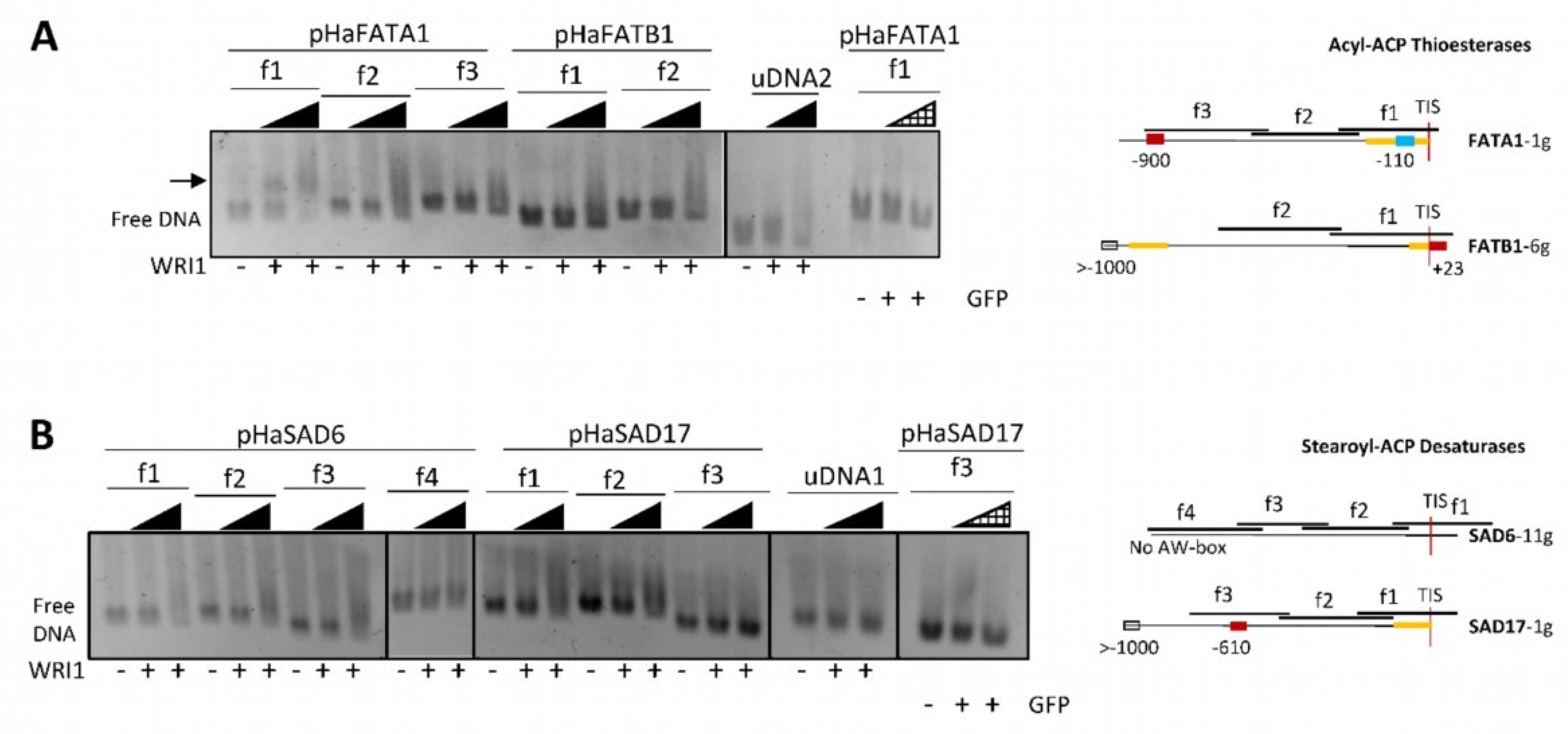 Plants 11 00972 g002