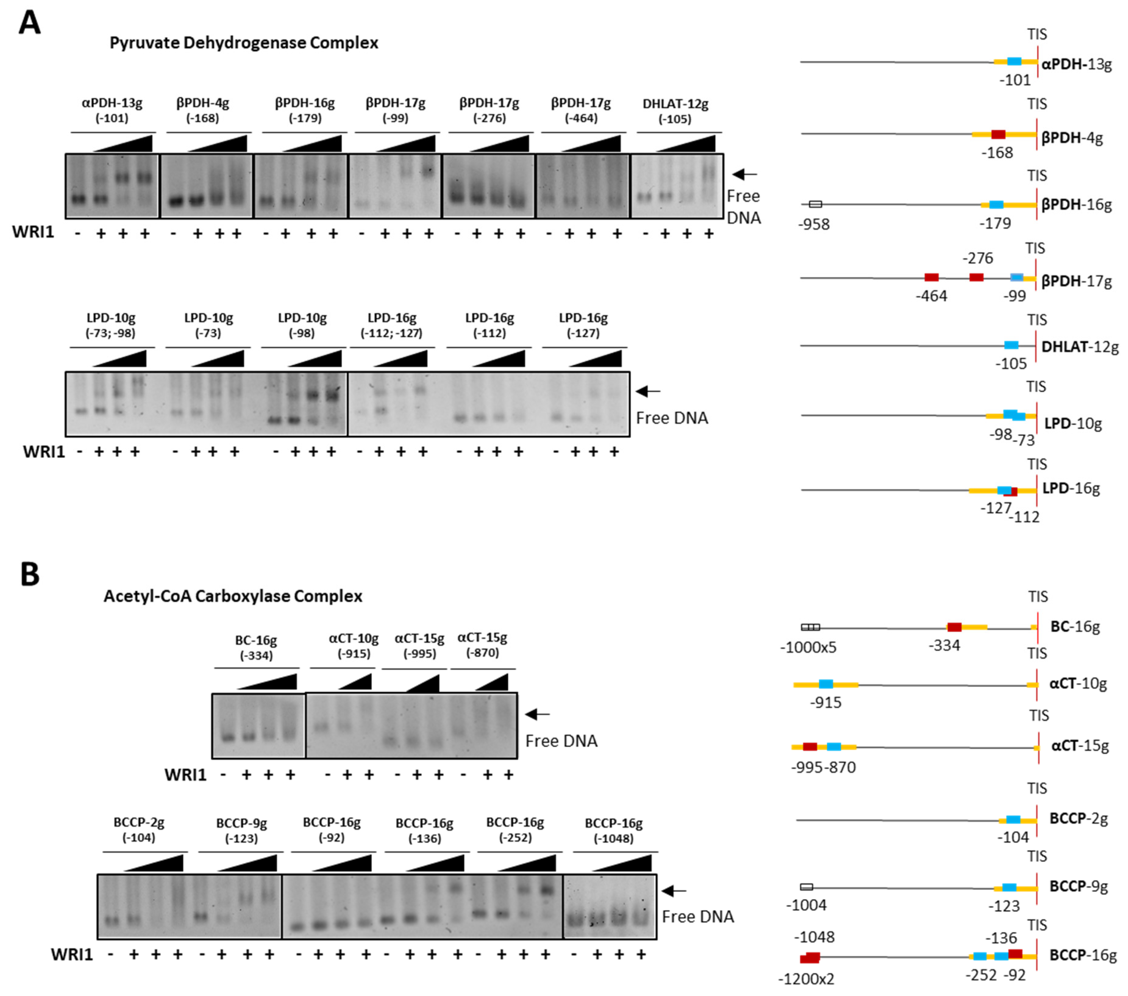 Plants 11 00972 g004