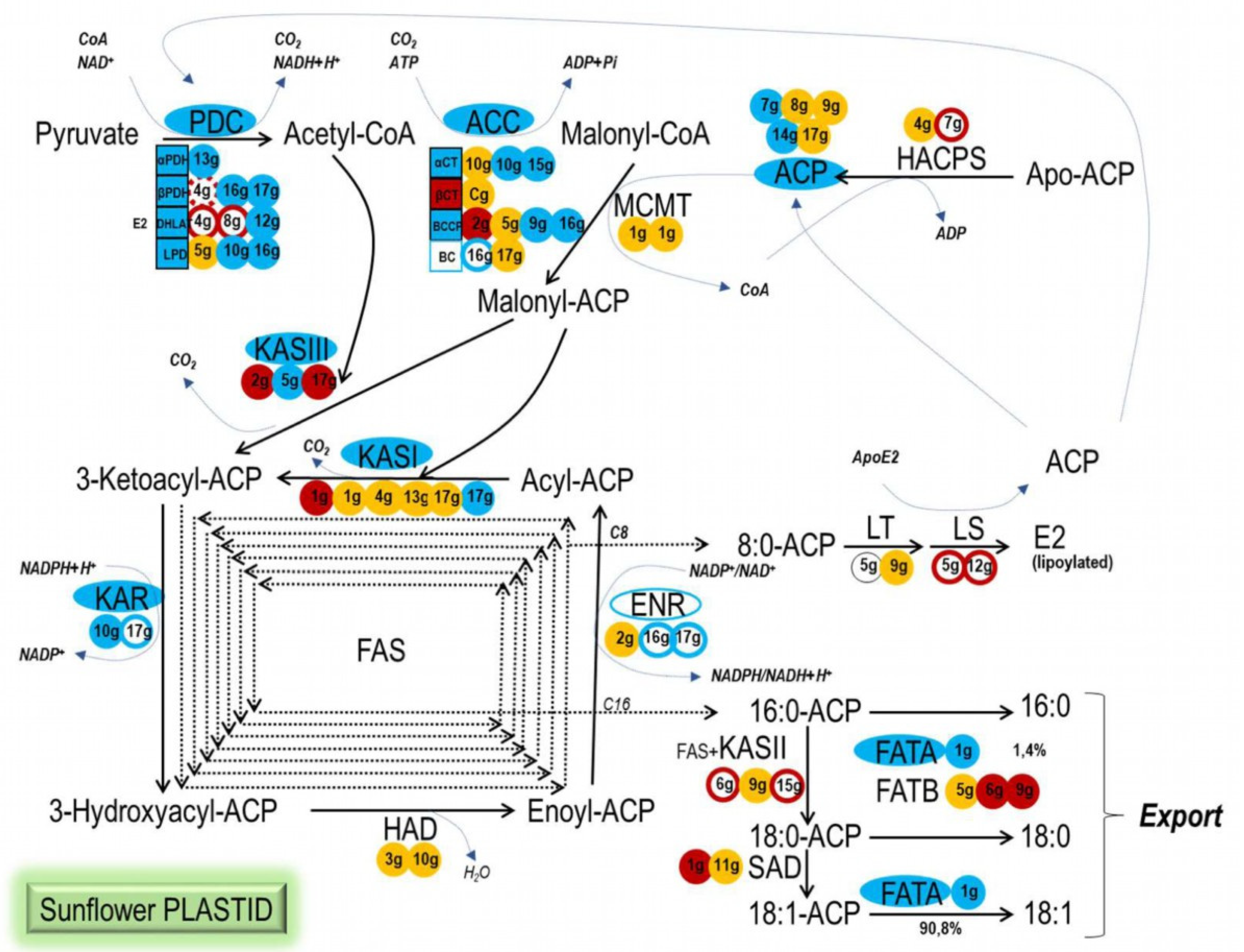 Plants 11 00972 g007