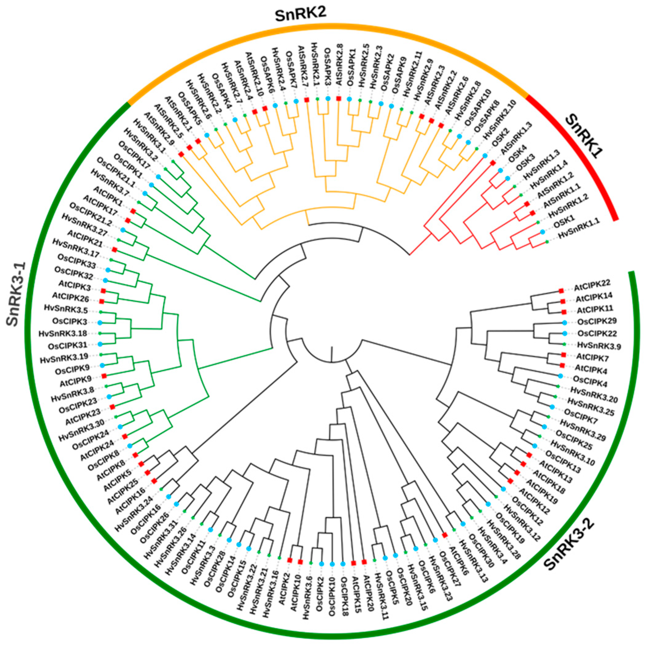 Plants 11 00975 g001