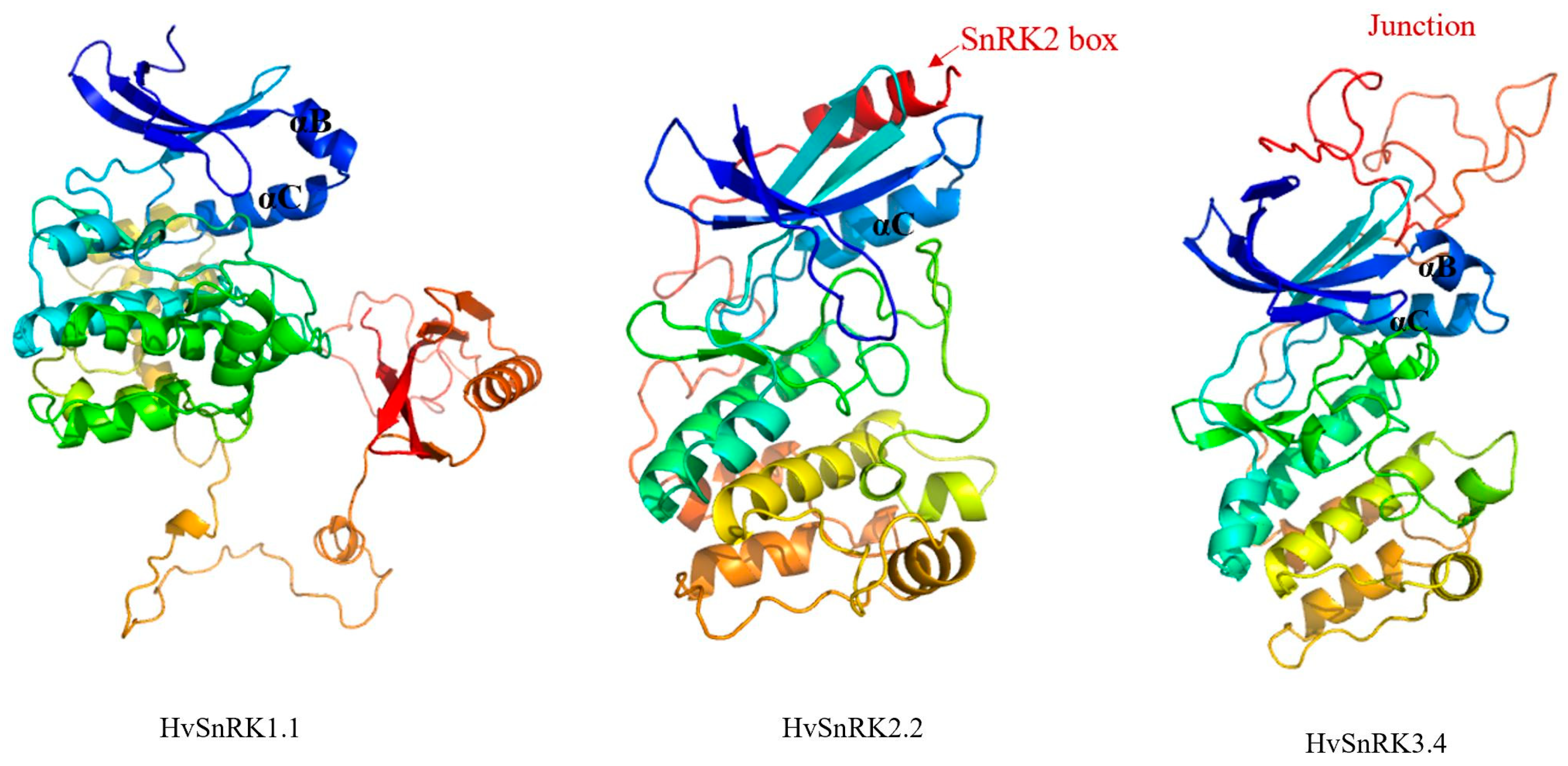 Plants 11 00975 g003