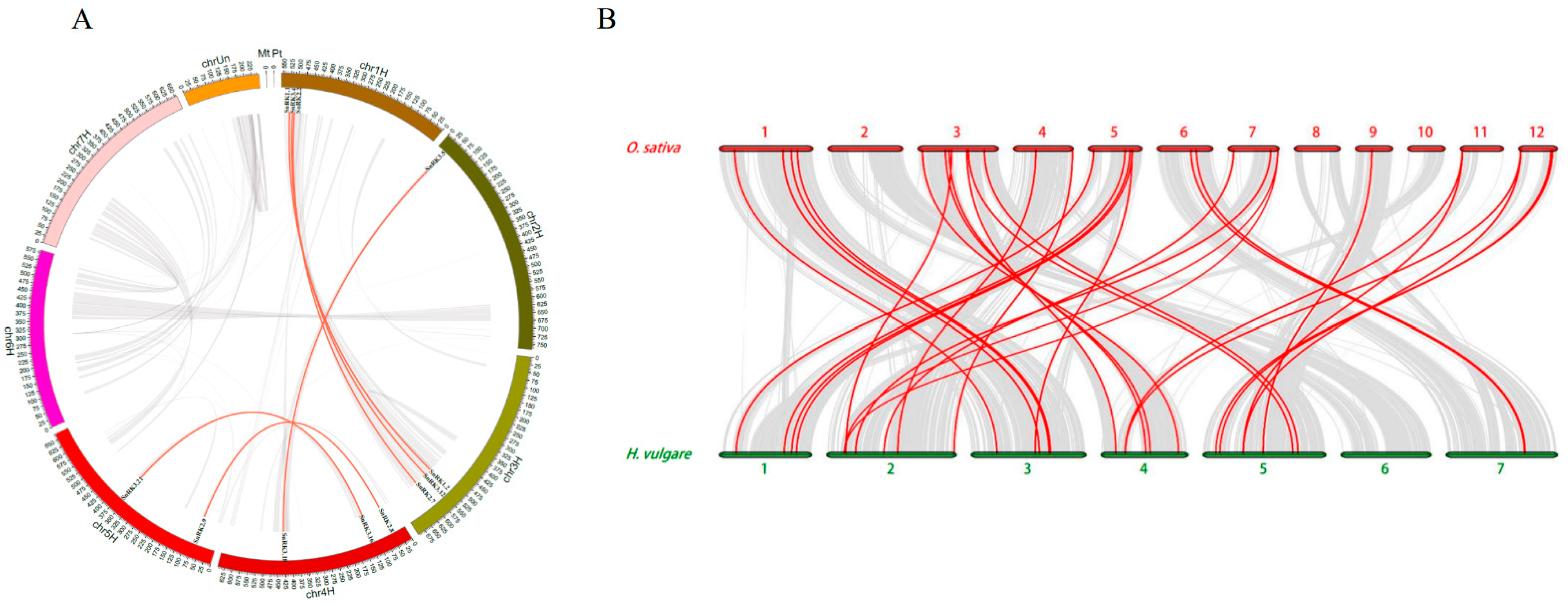 Plants 11 00975 g005