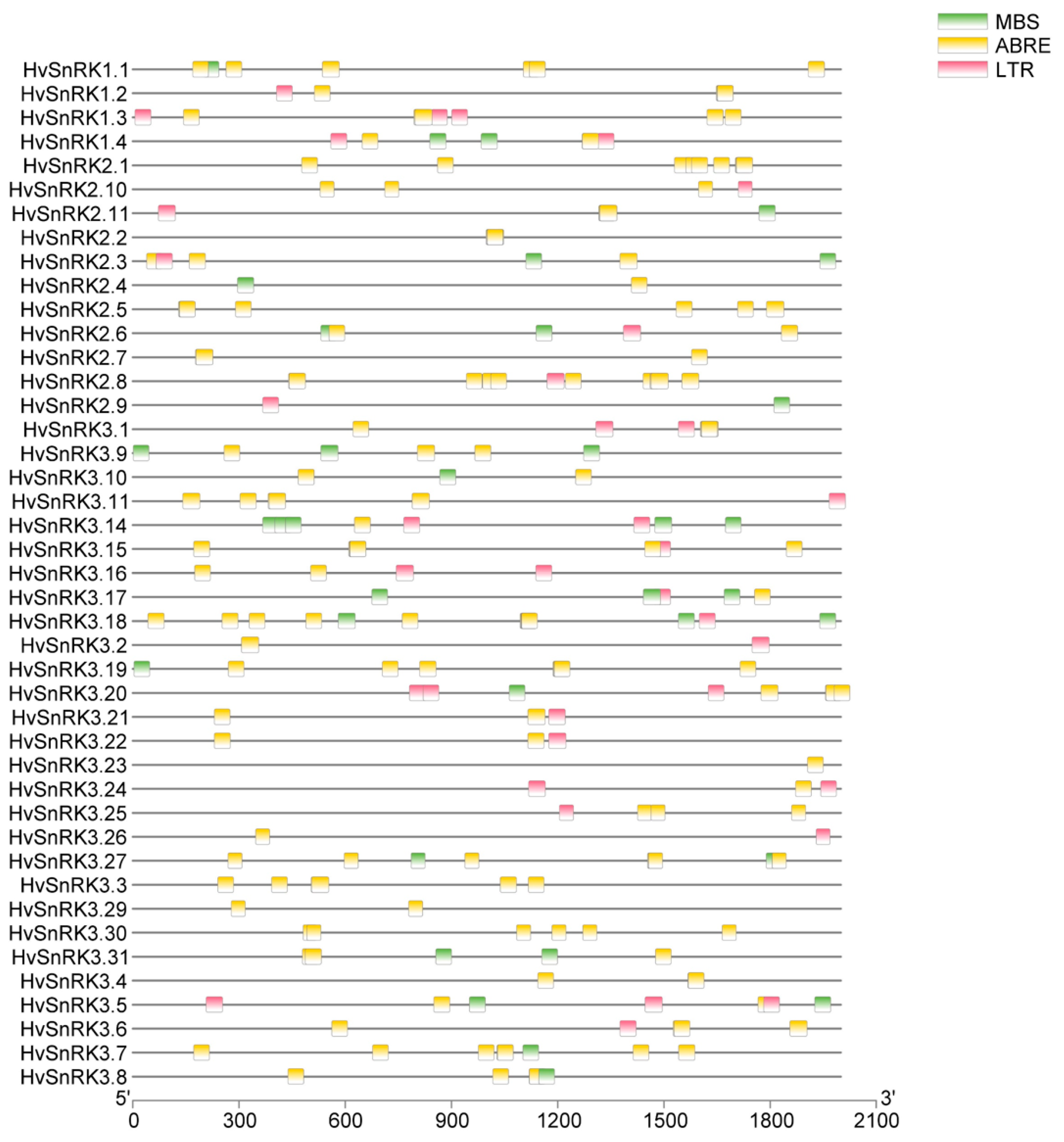 Plants 11 00975 g006